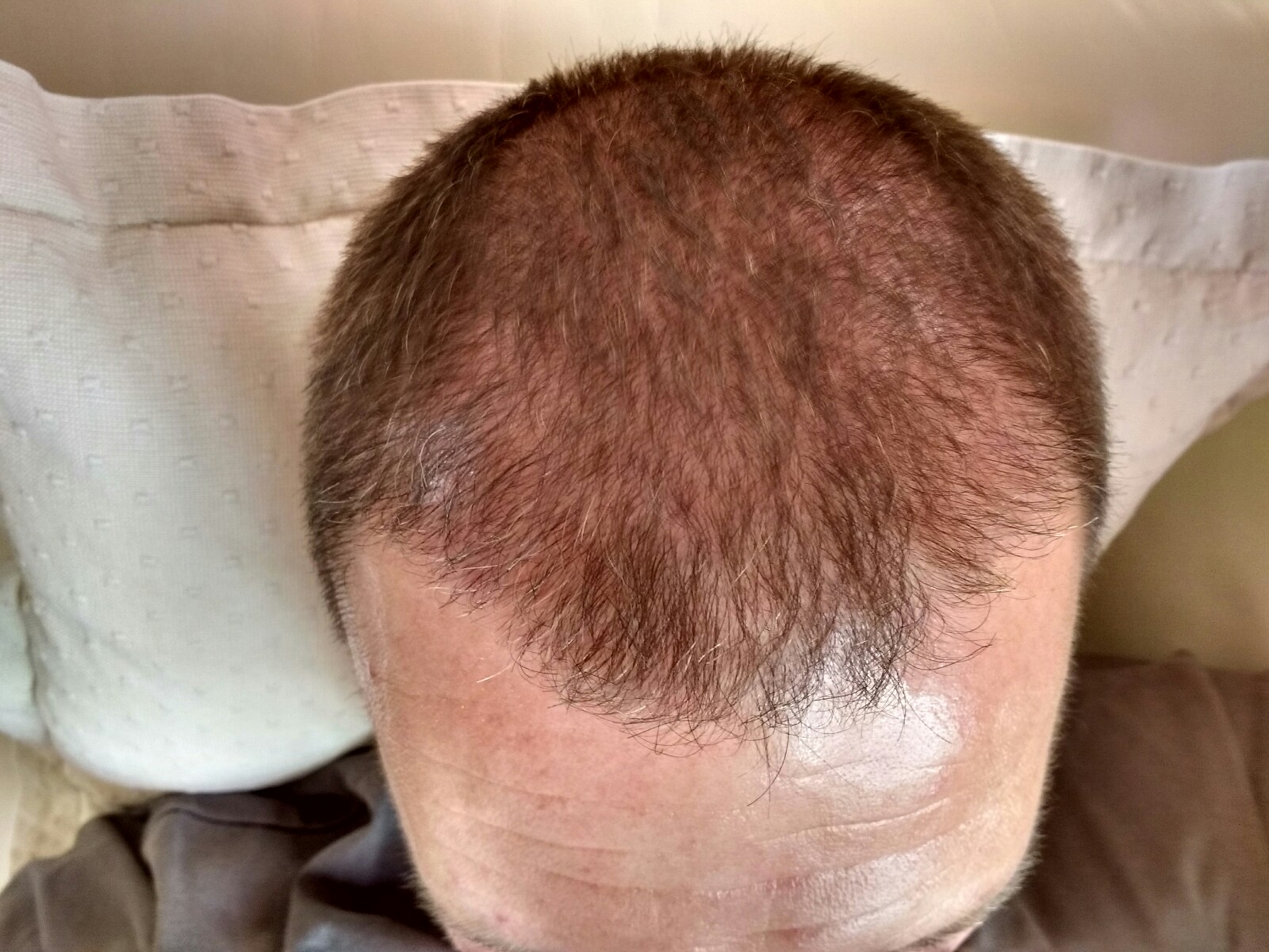 index.php/fa/33986/0/