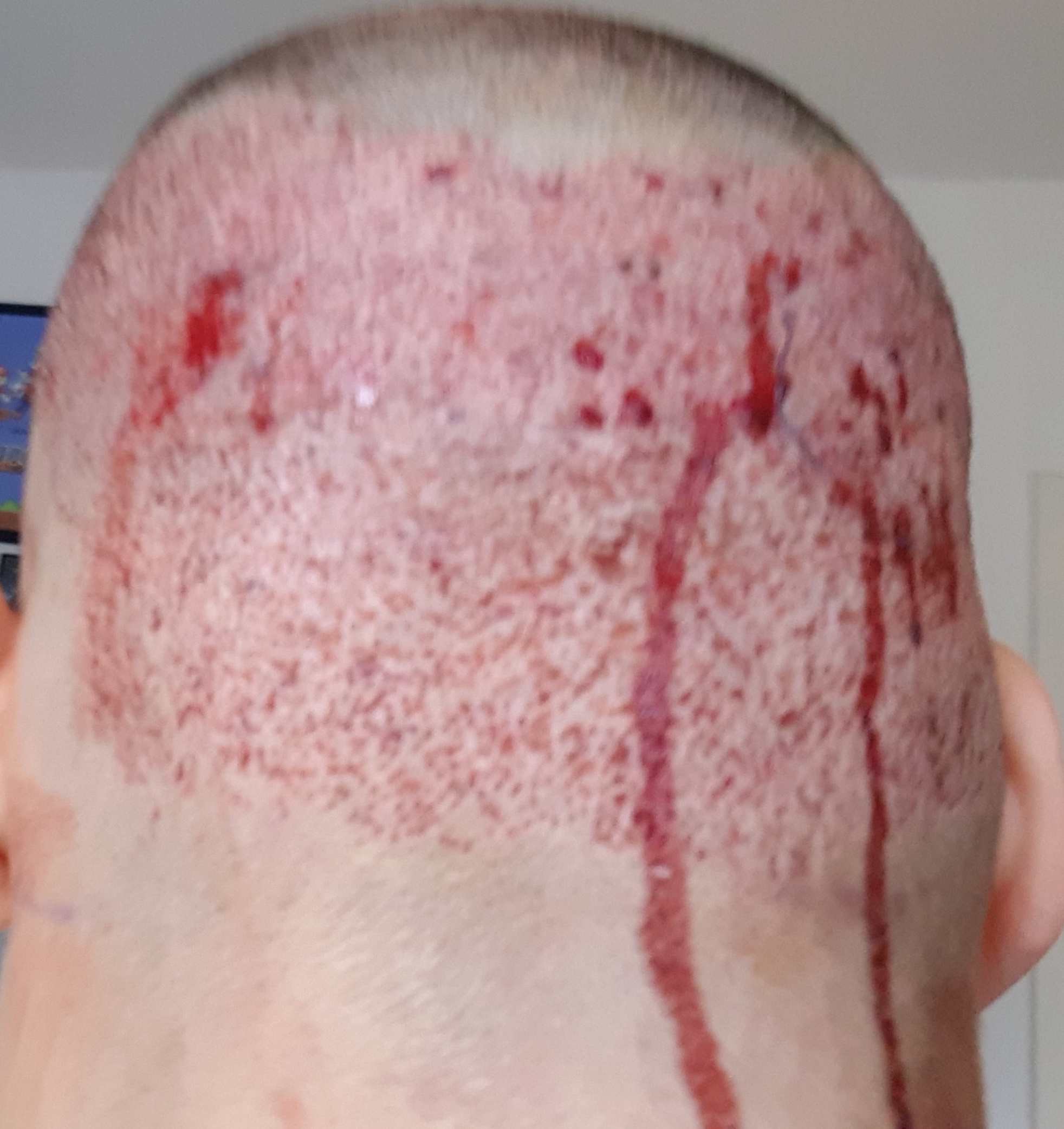 index.php/fa/34132/0/