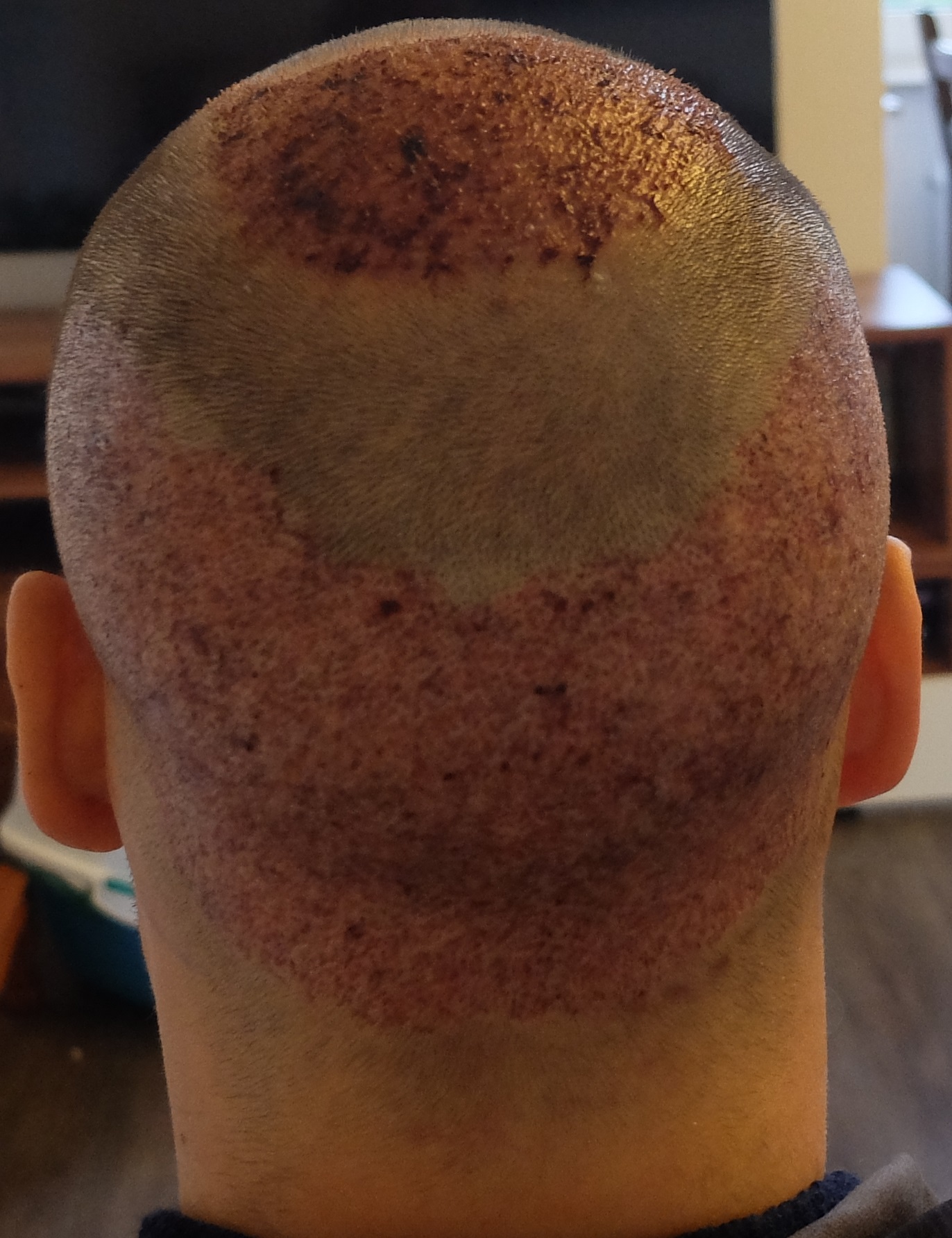 index.php/fa/34137/0/