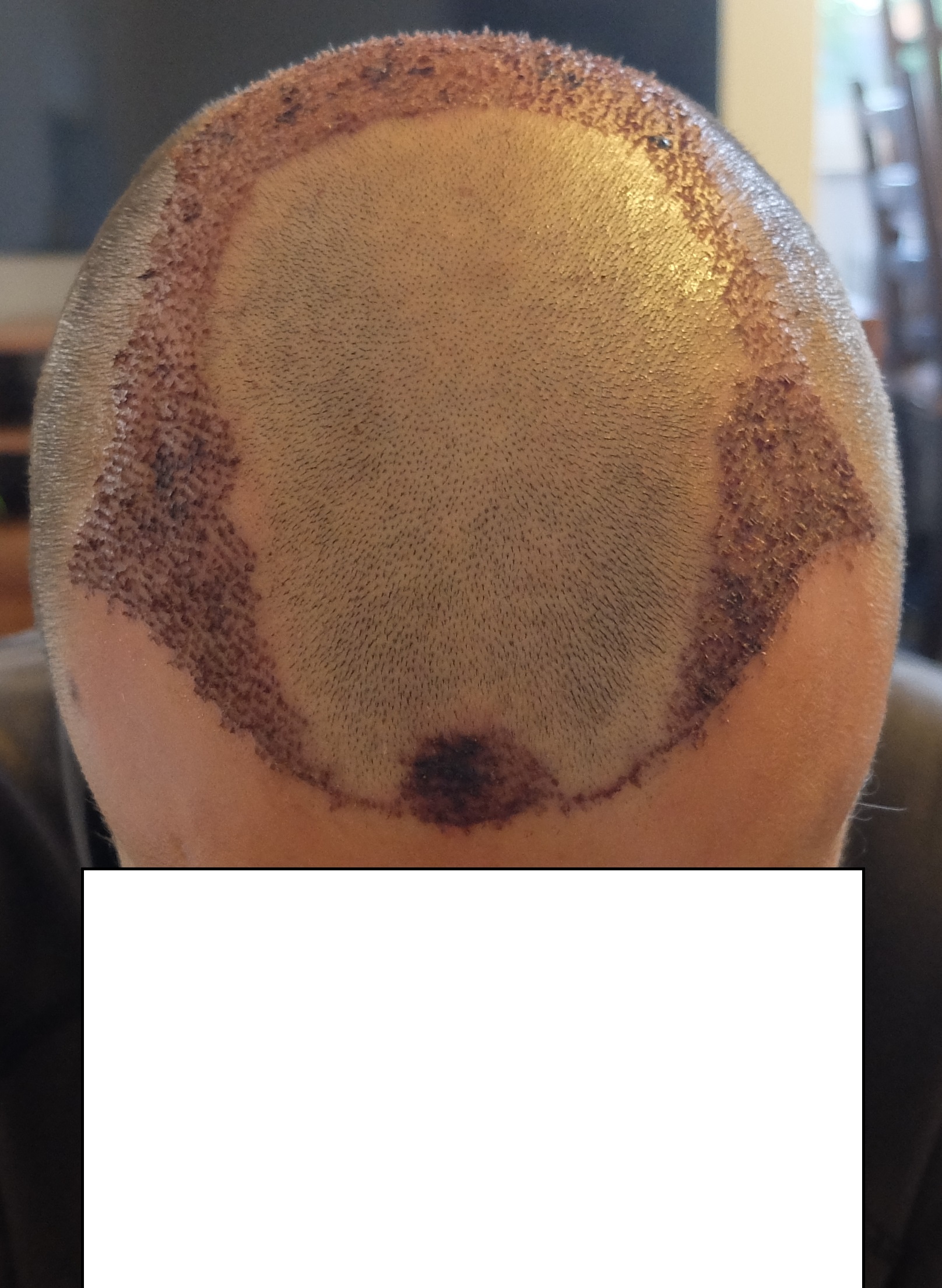 index.php/fa/34138/0/