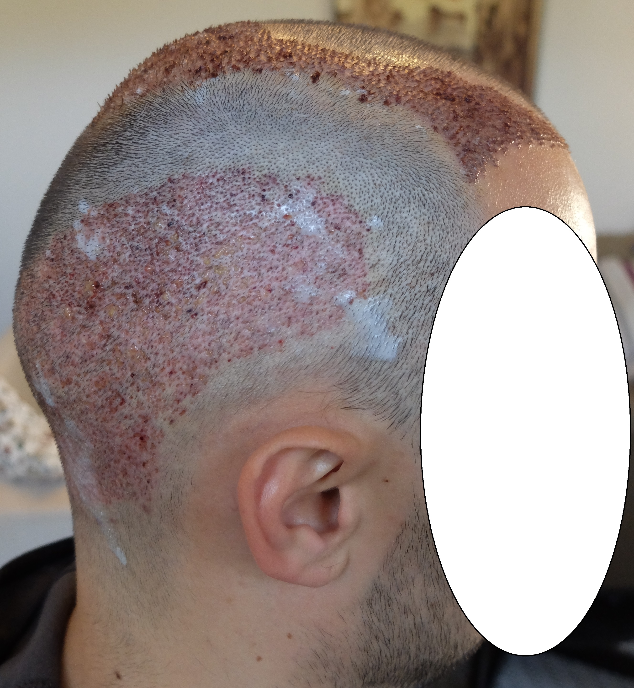 index.php/fa/34160/0/