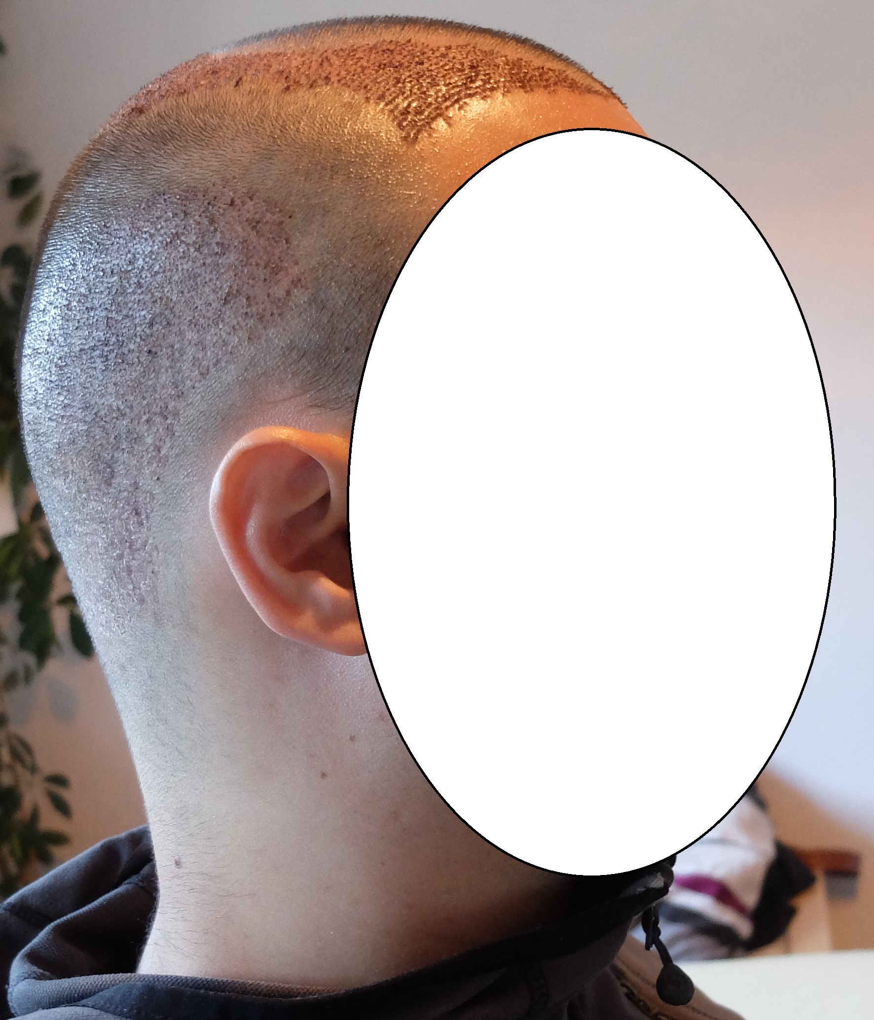 index.php/fa/34164/0/