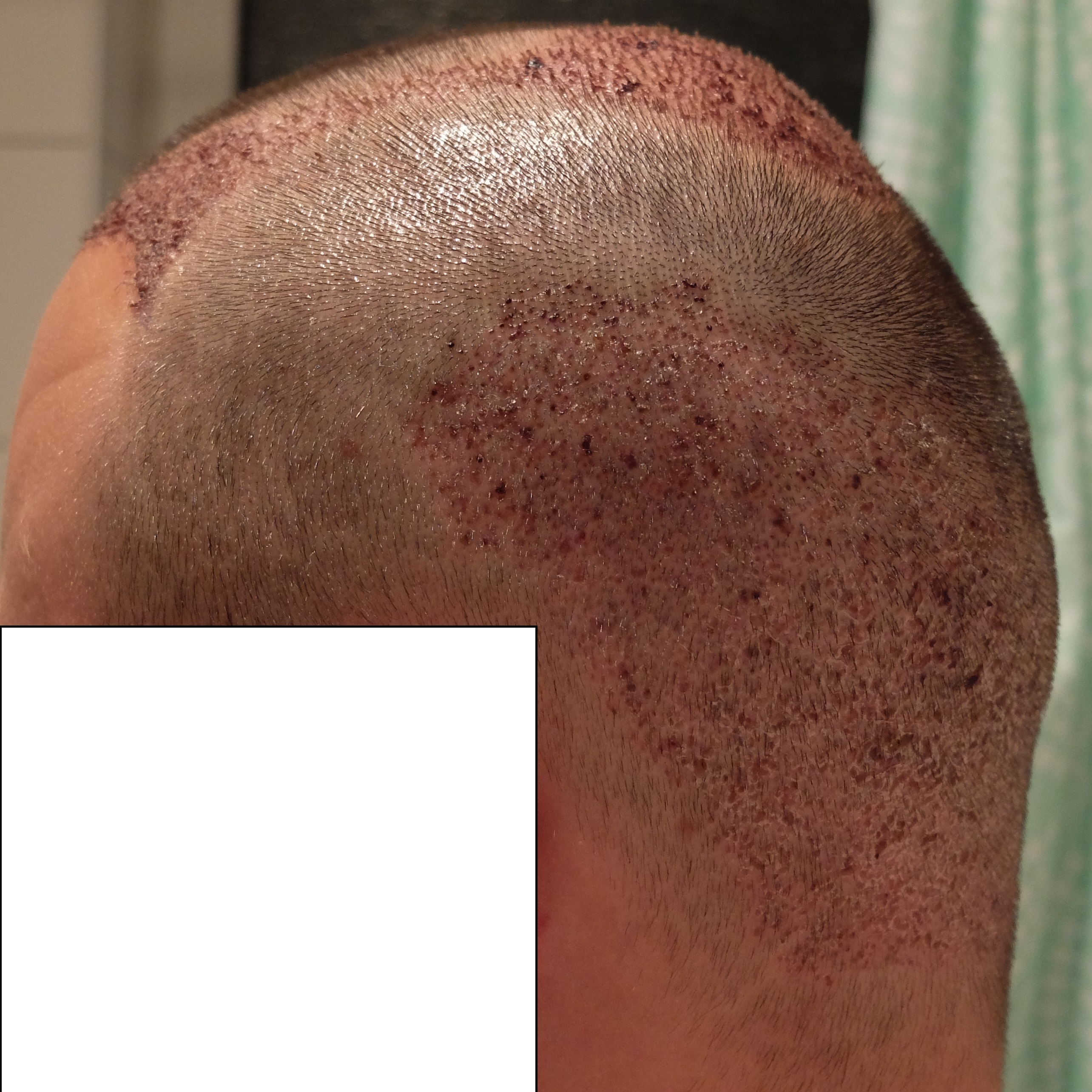 index.php/fa/34201/0/