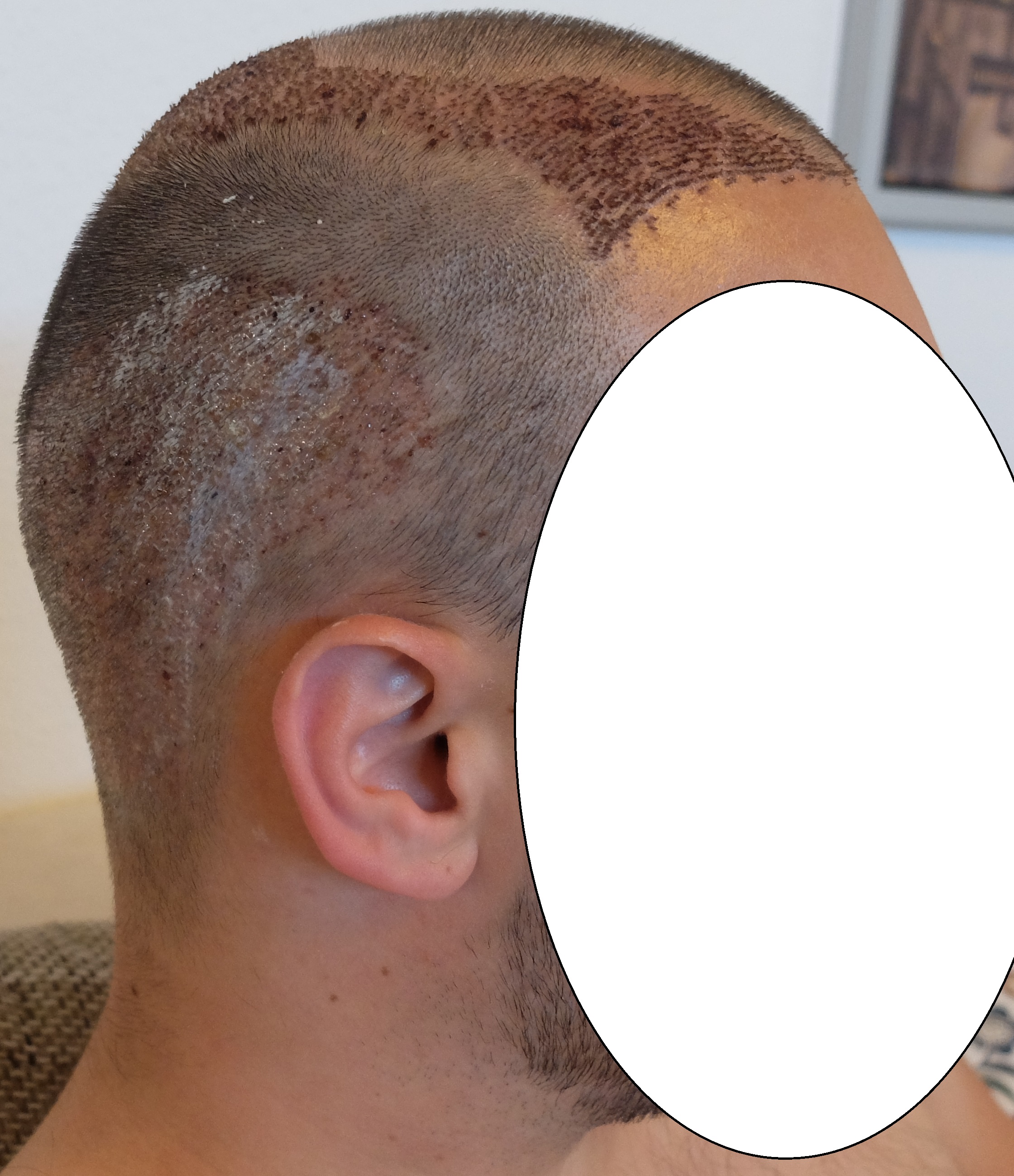 index.php/fa/34202/0/