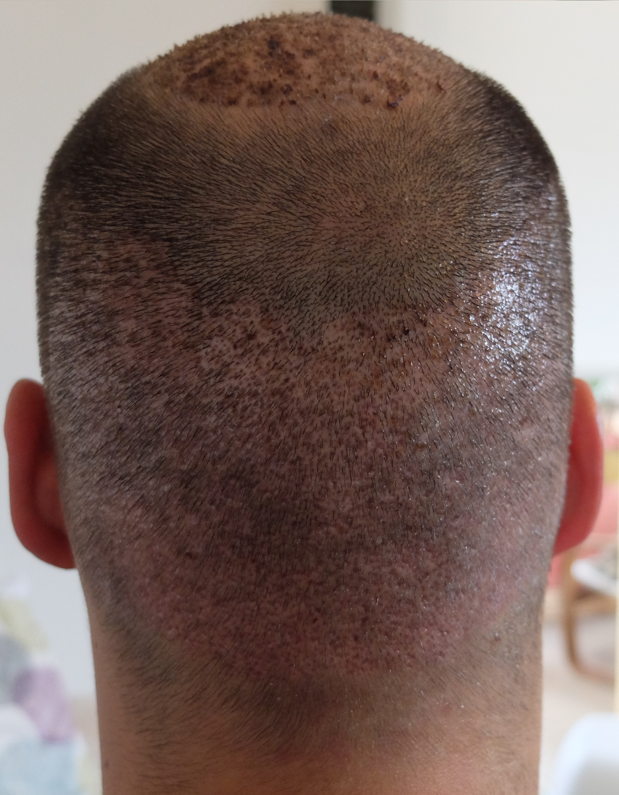 index.php/fa/34206/0/