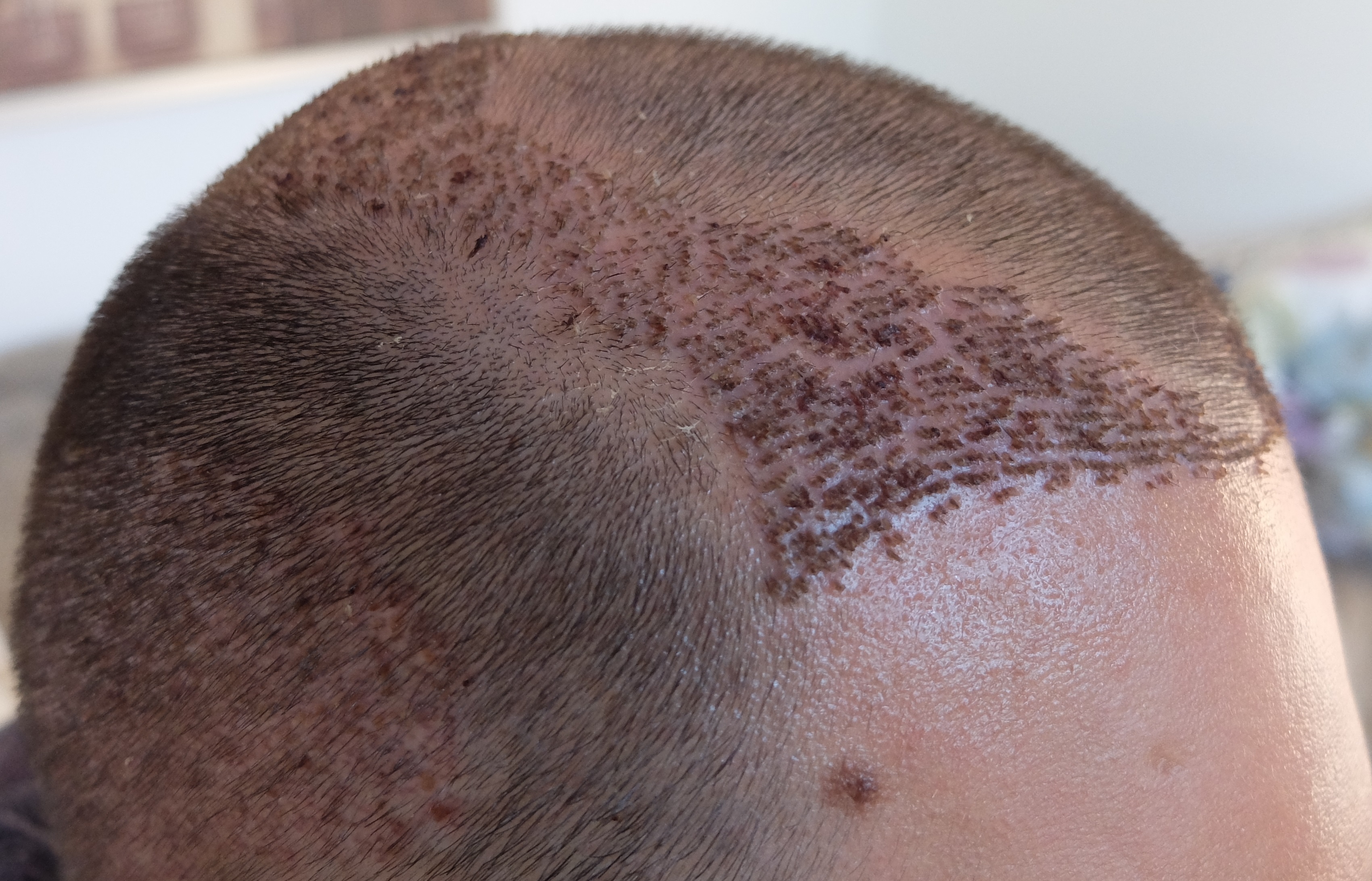 index.php/fa/34239/0/