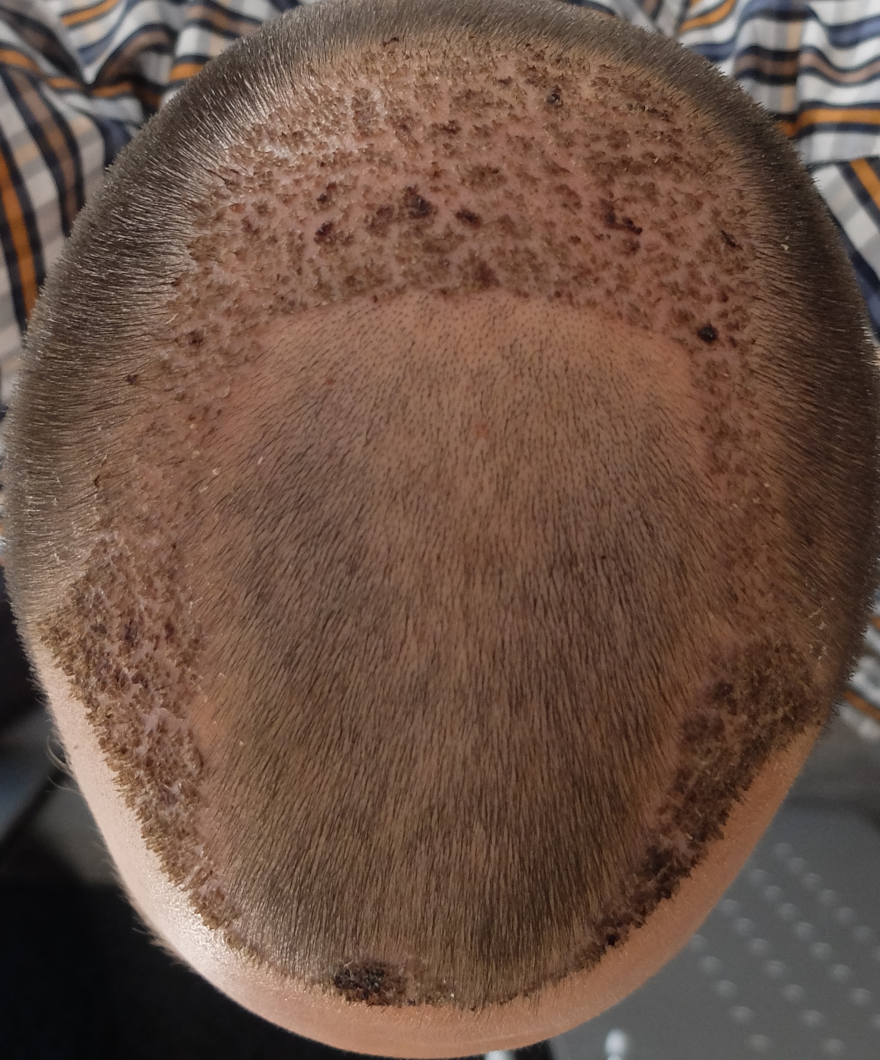 index.php/fa/34240/0/