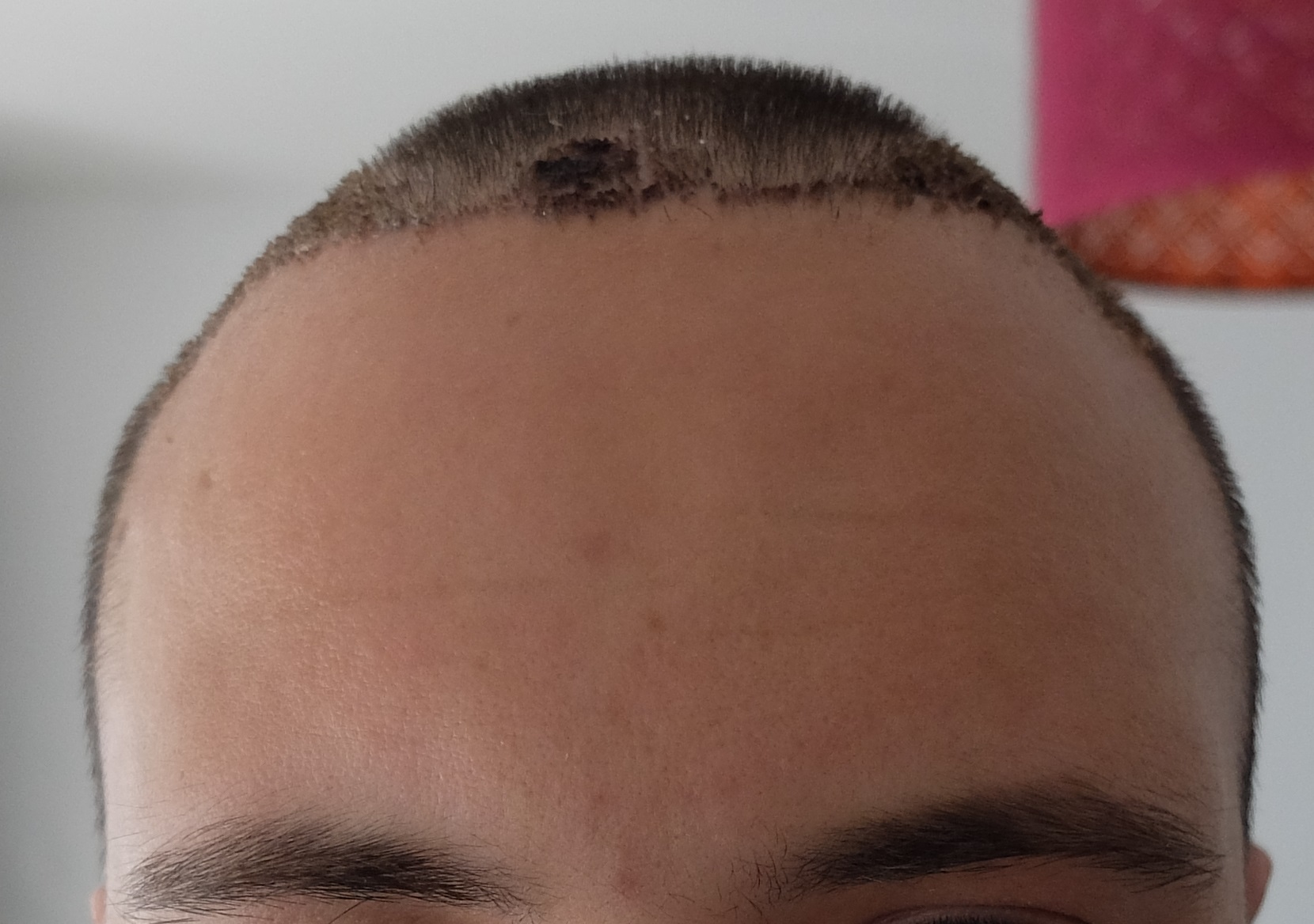 index.php/fa/34241/0/