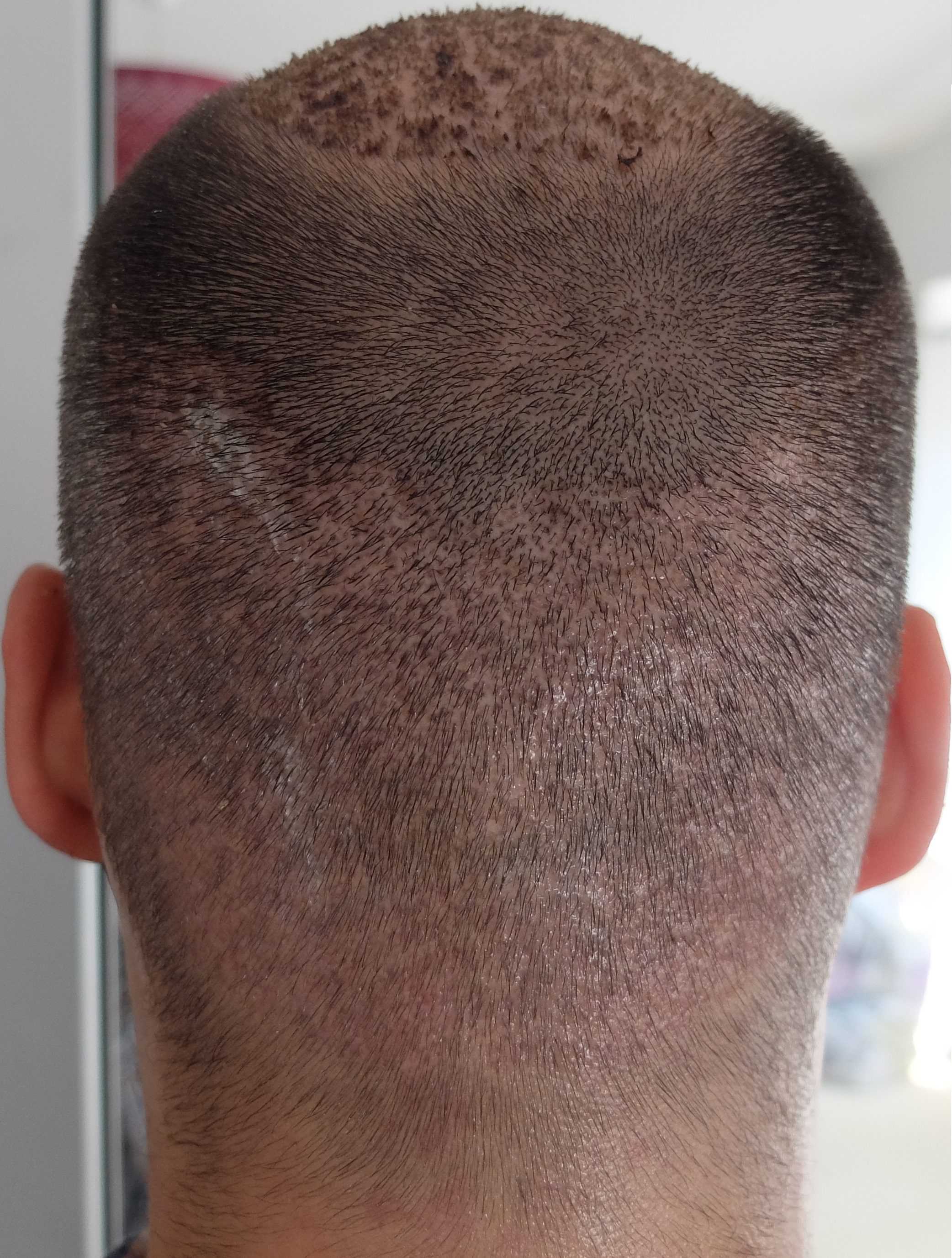 index.php/fa/34242/0/