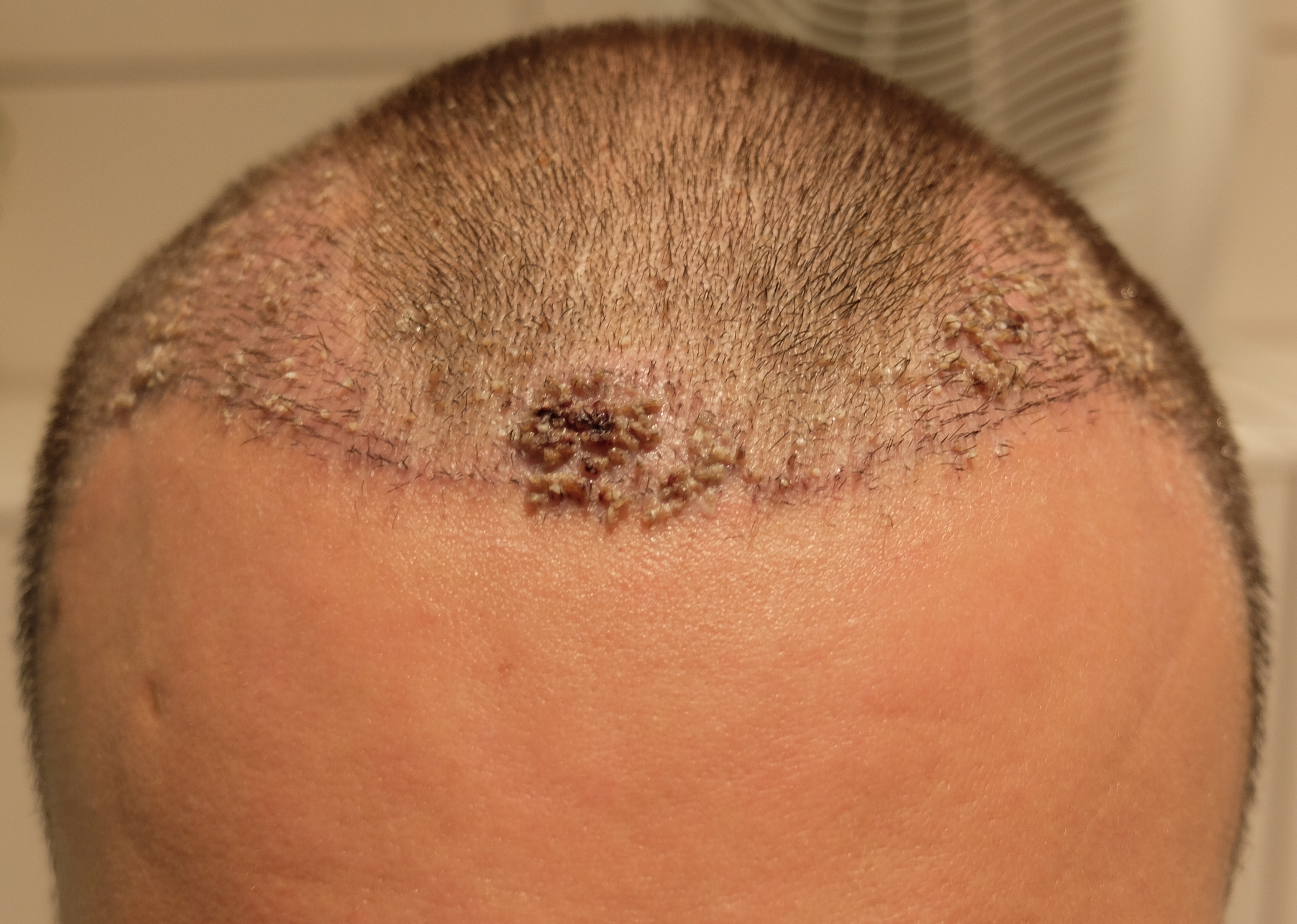 index.php/fa/34258/0/