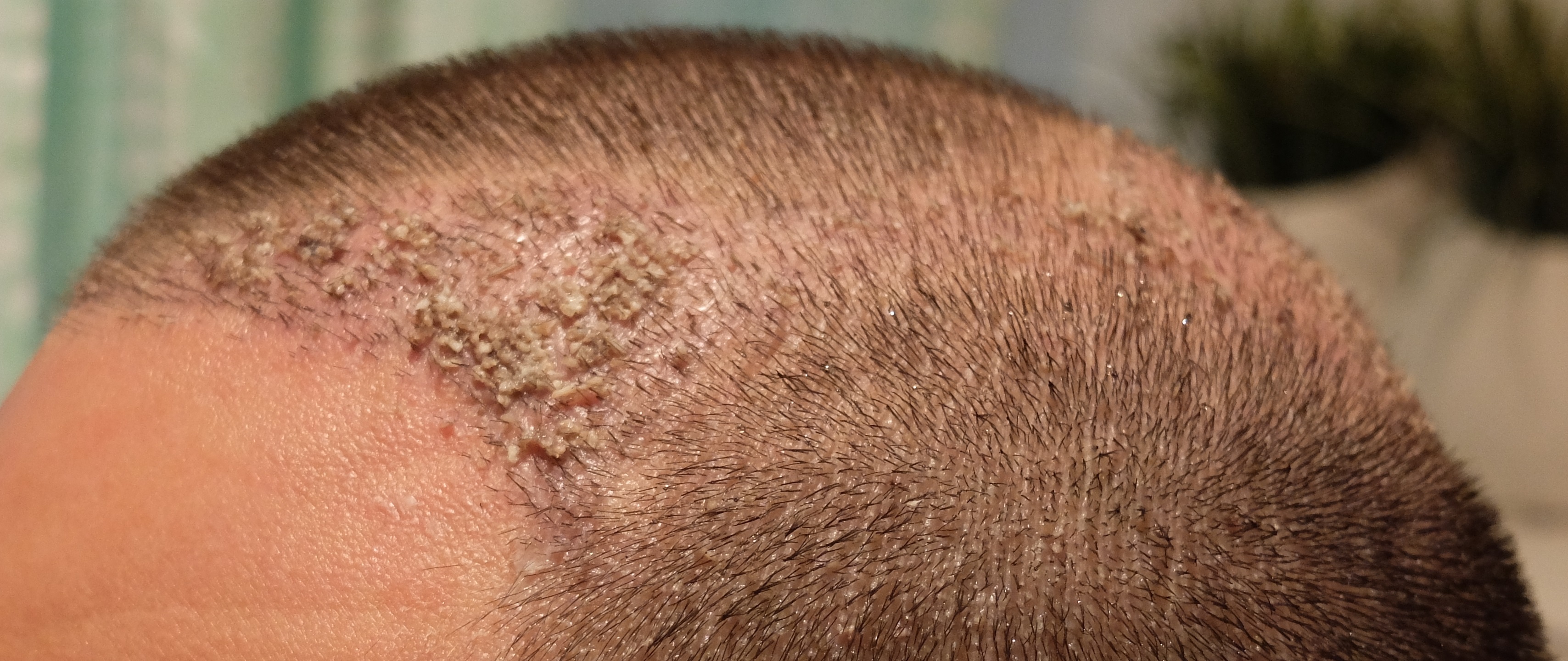 index.php/fa/34261/0/