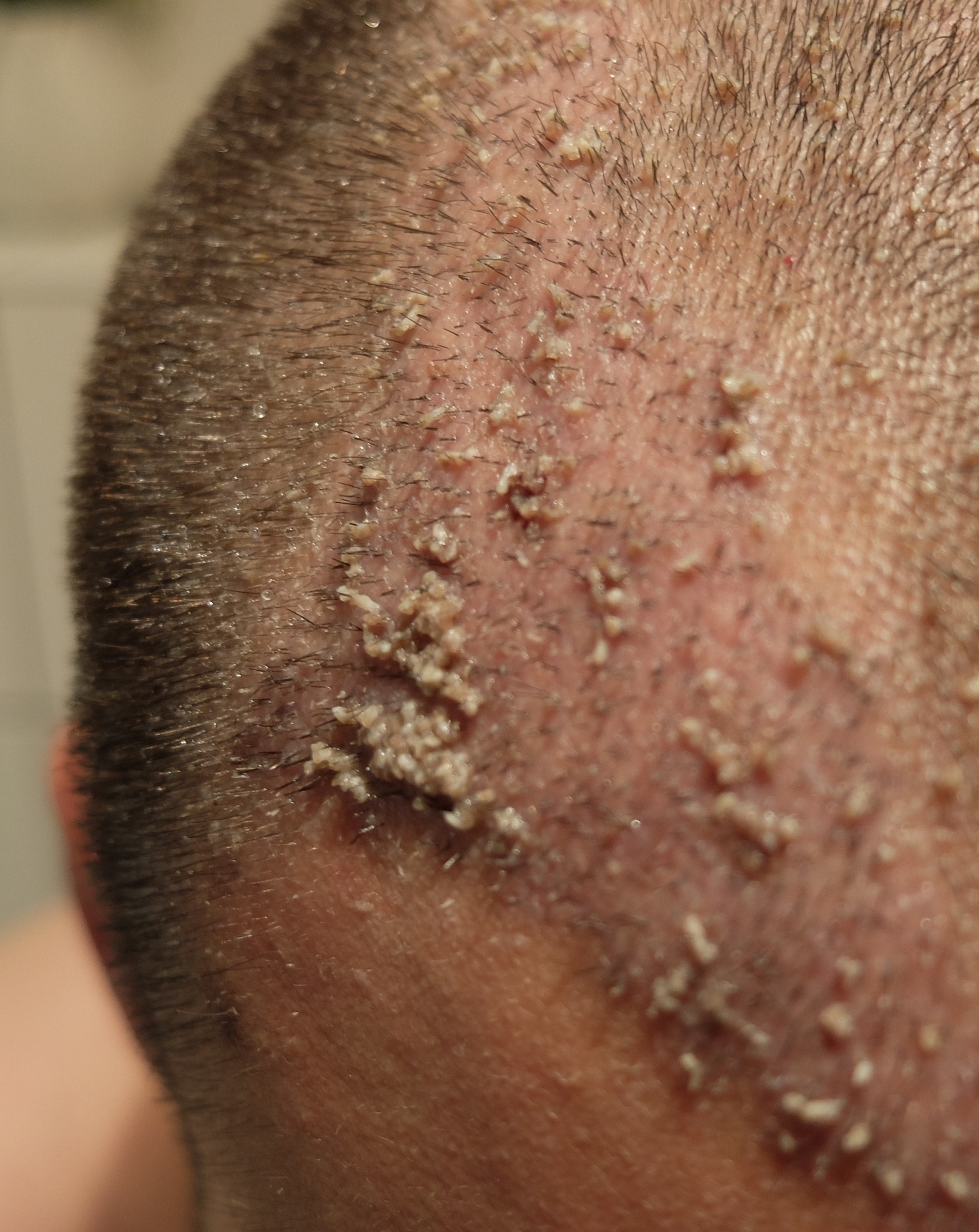 index.php/fa/34262/0/