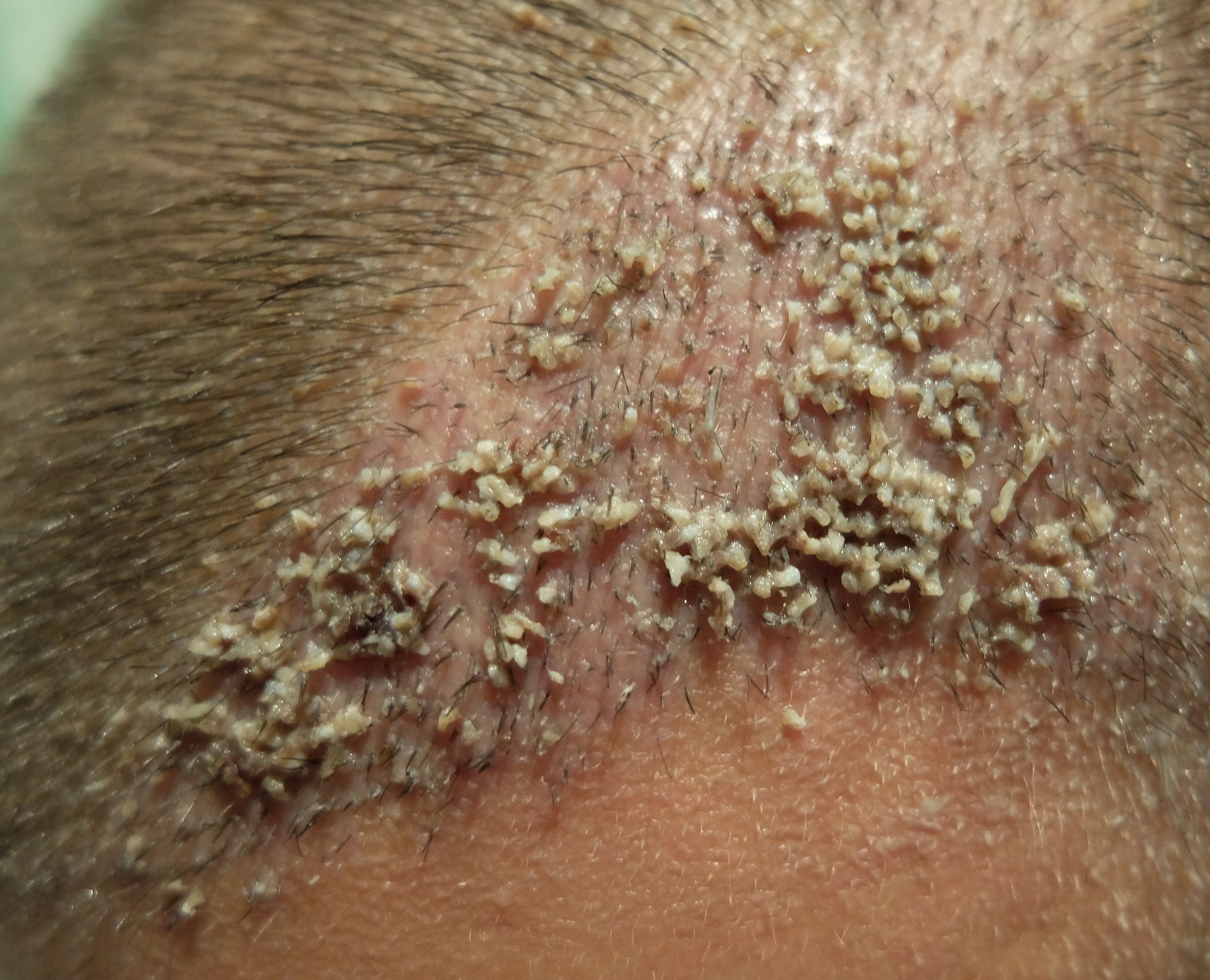 index.php/fa/34263/0/