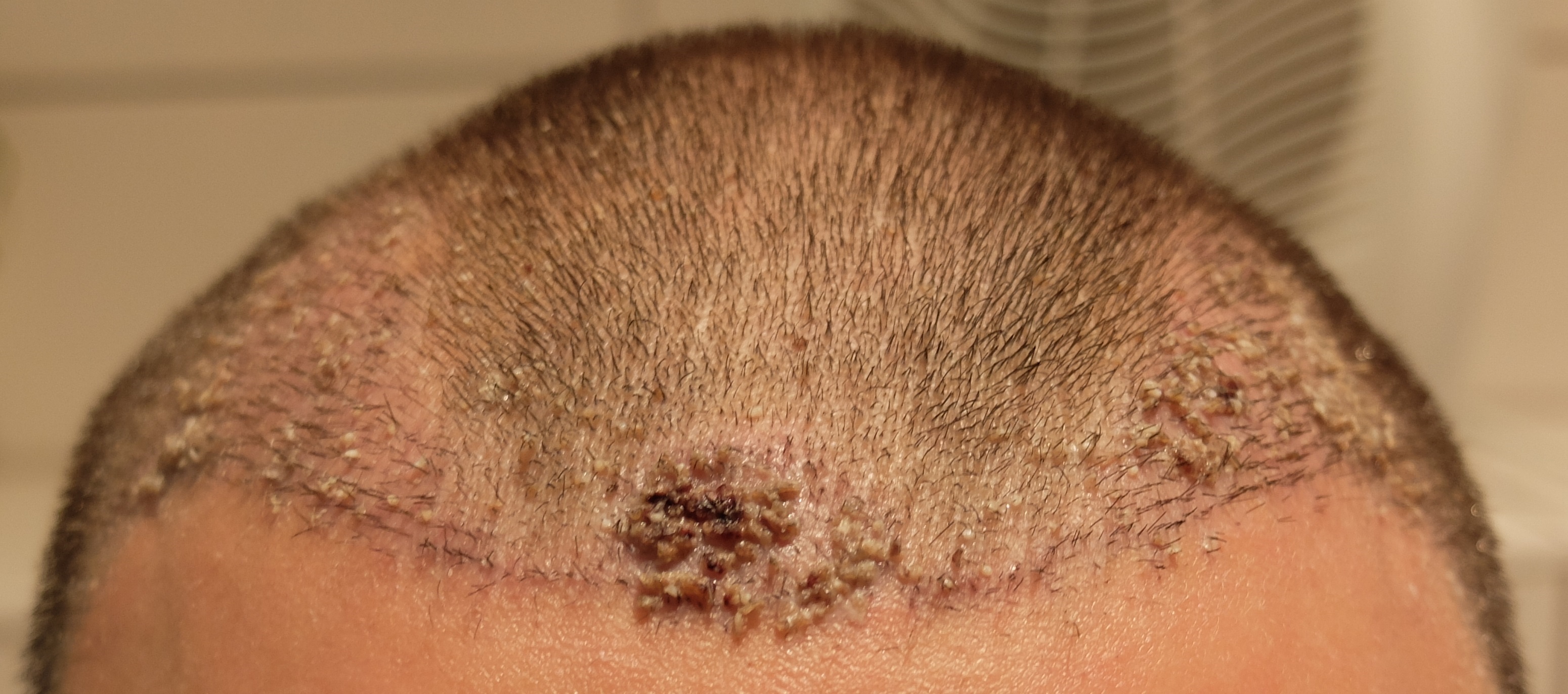 index.php/fa/34265/0/