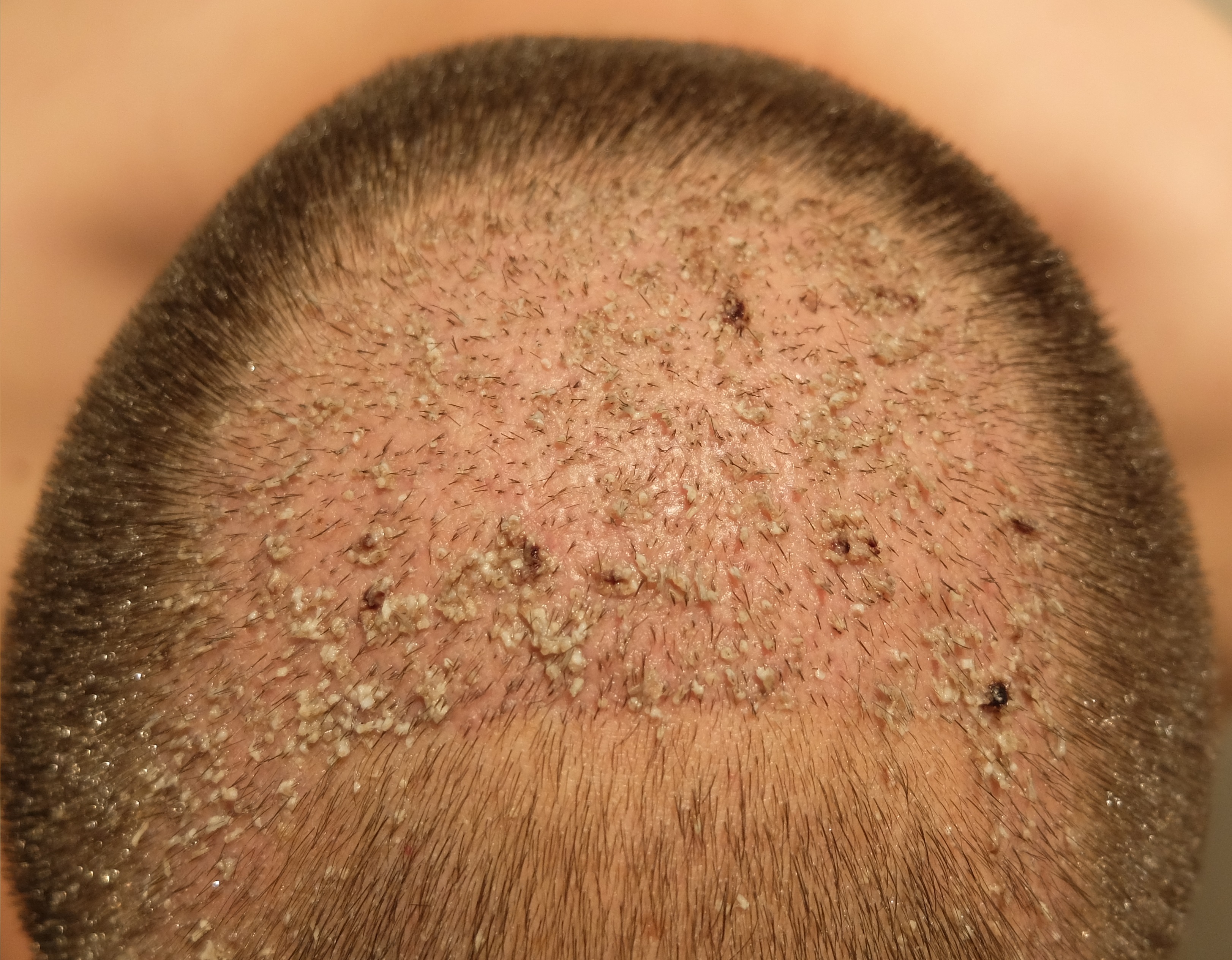 index.php/fa/34266/0/