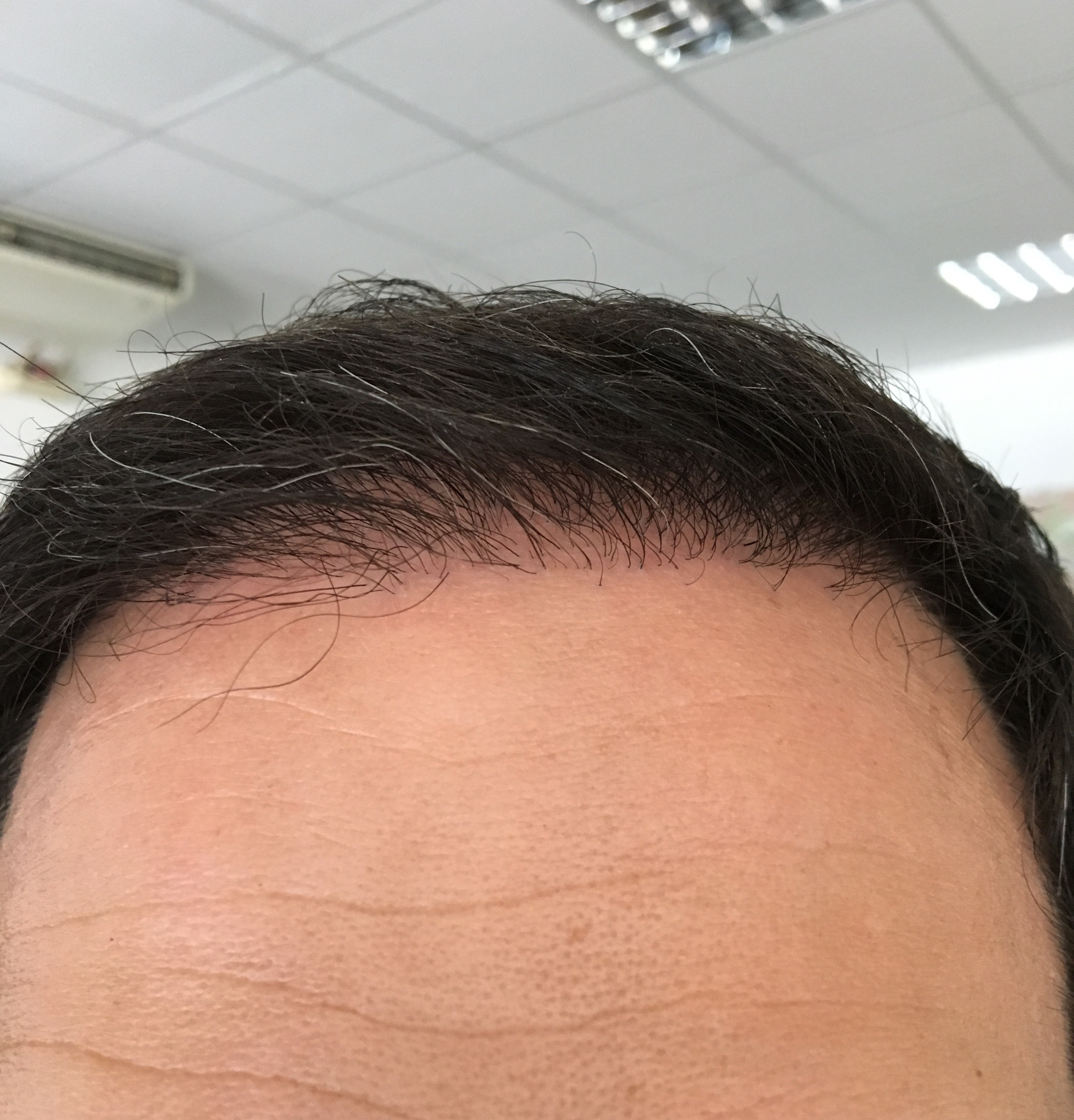 index.php/fa/34267/0/