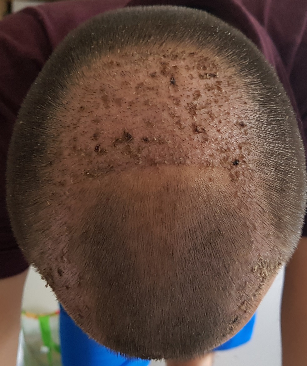 index.php/fa/34272/0/