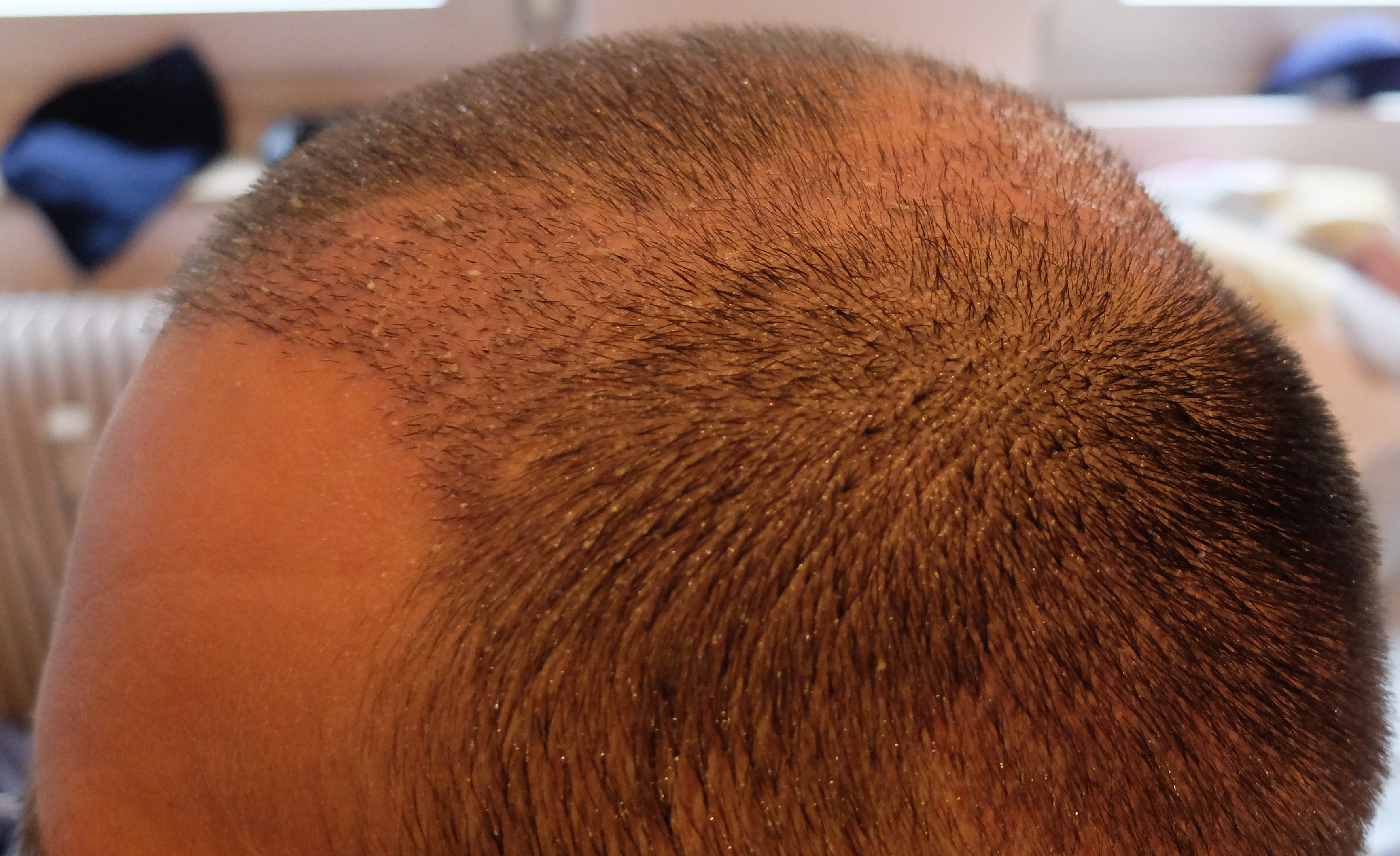 index.php/fa/34283/0/