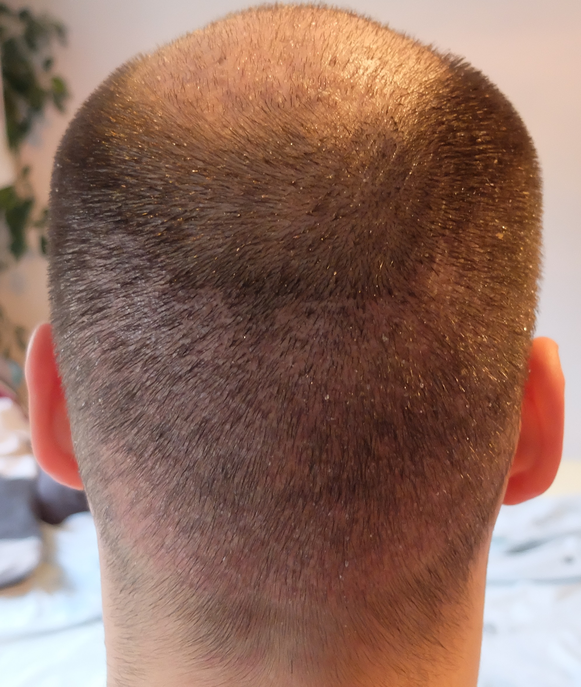 index.php/fa/34284/0/