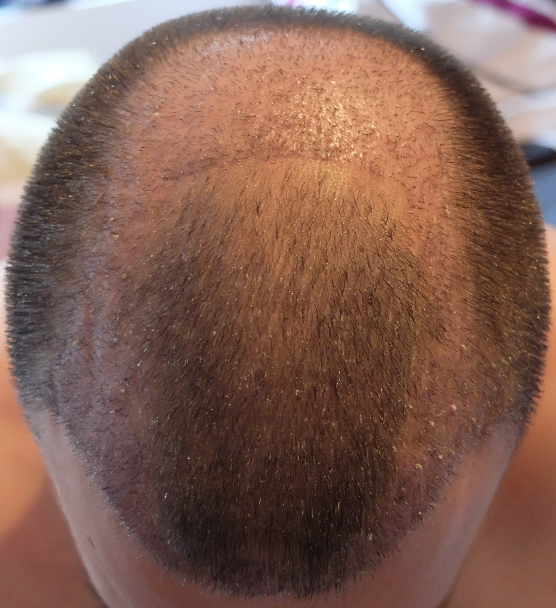 index.php/fa/34285/0/