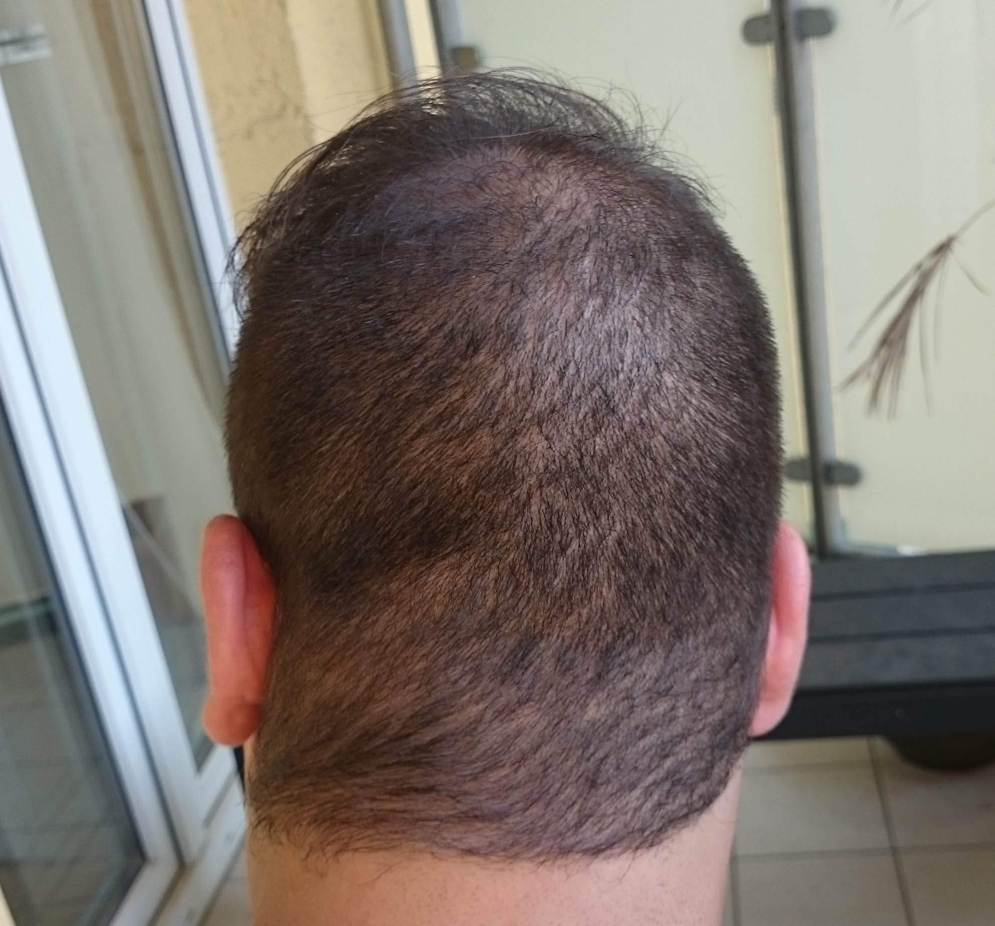 index.php/fa/34395/0/