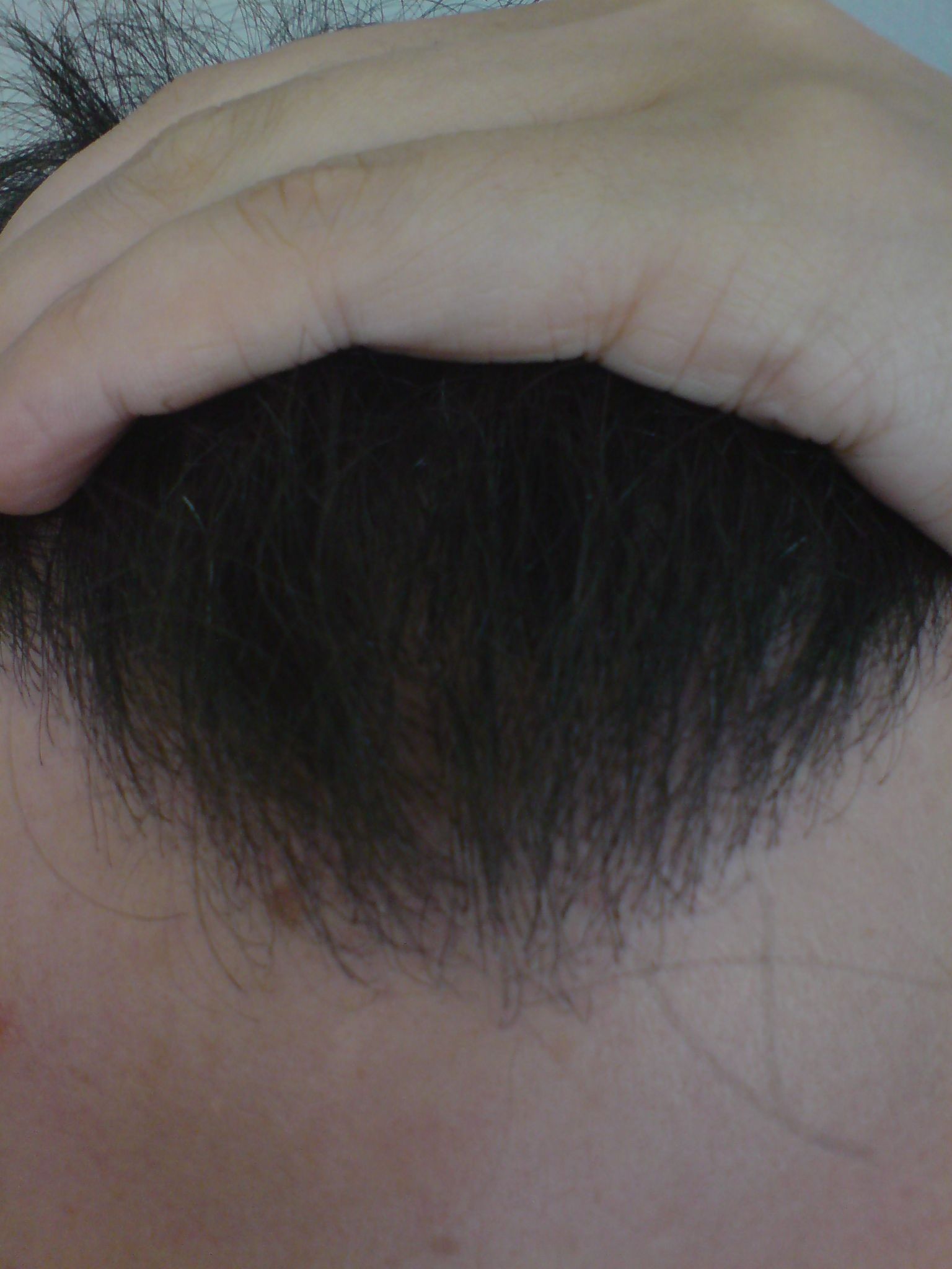 index.php/fa/3450/0/