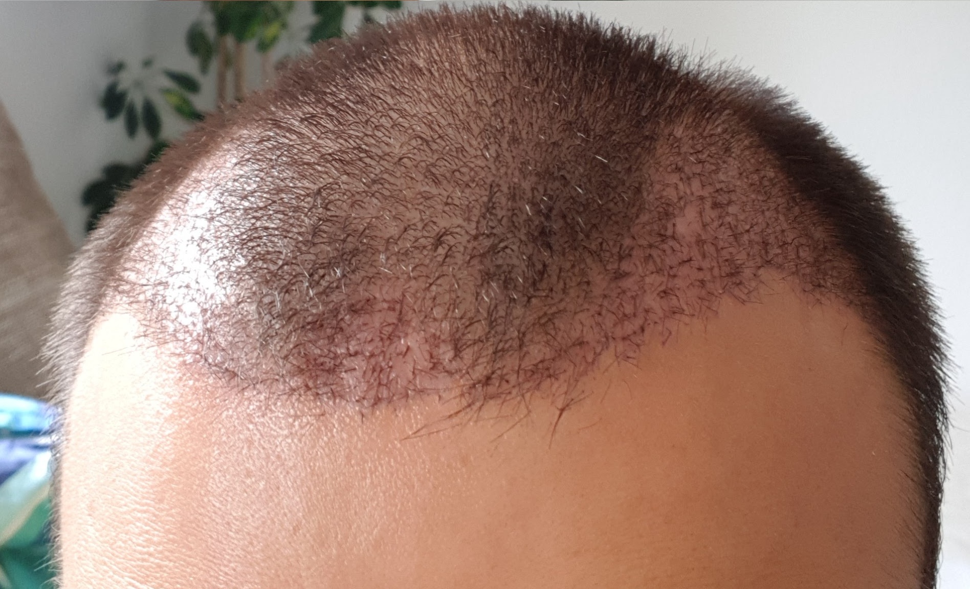 index.php/fa/34531/0/