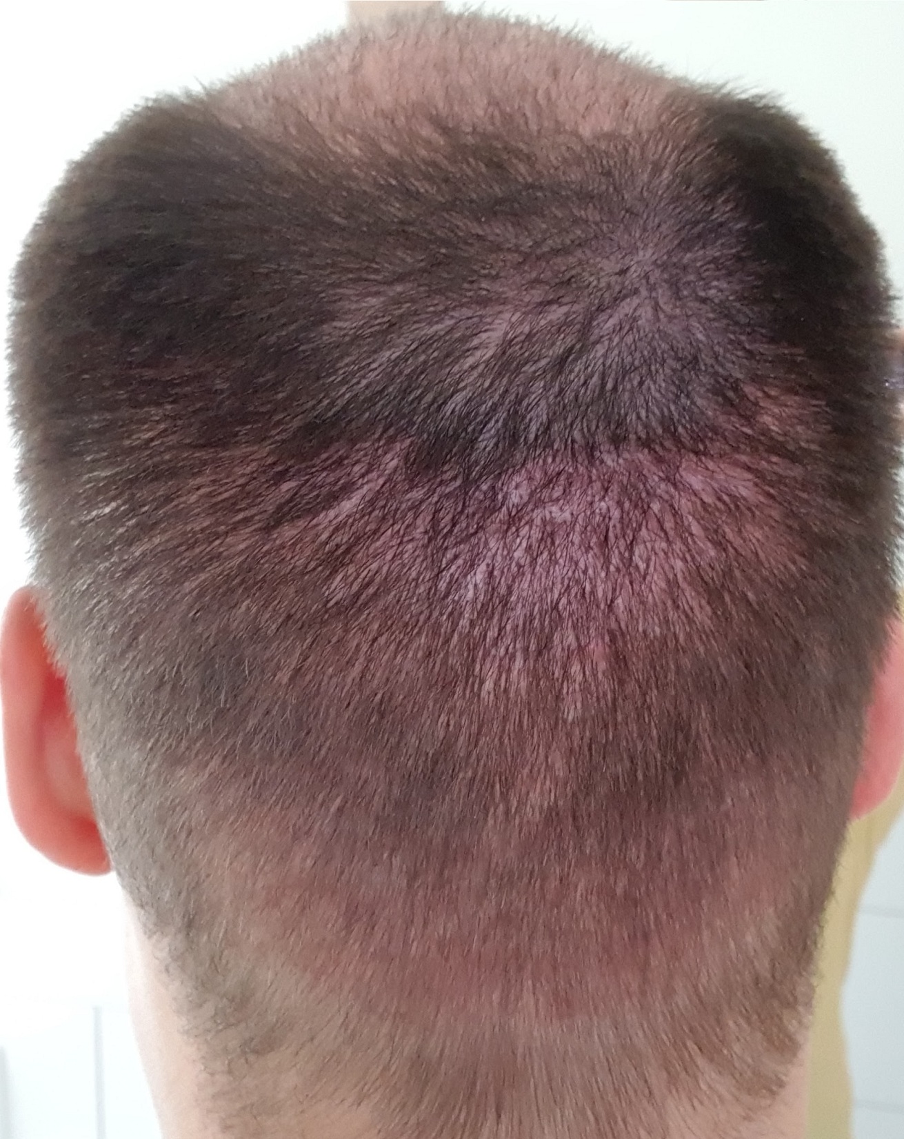 index.php/fa/34533/0/