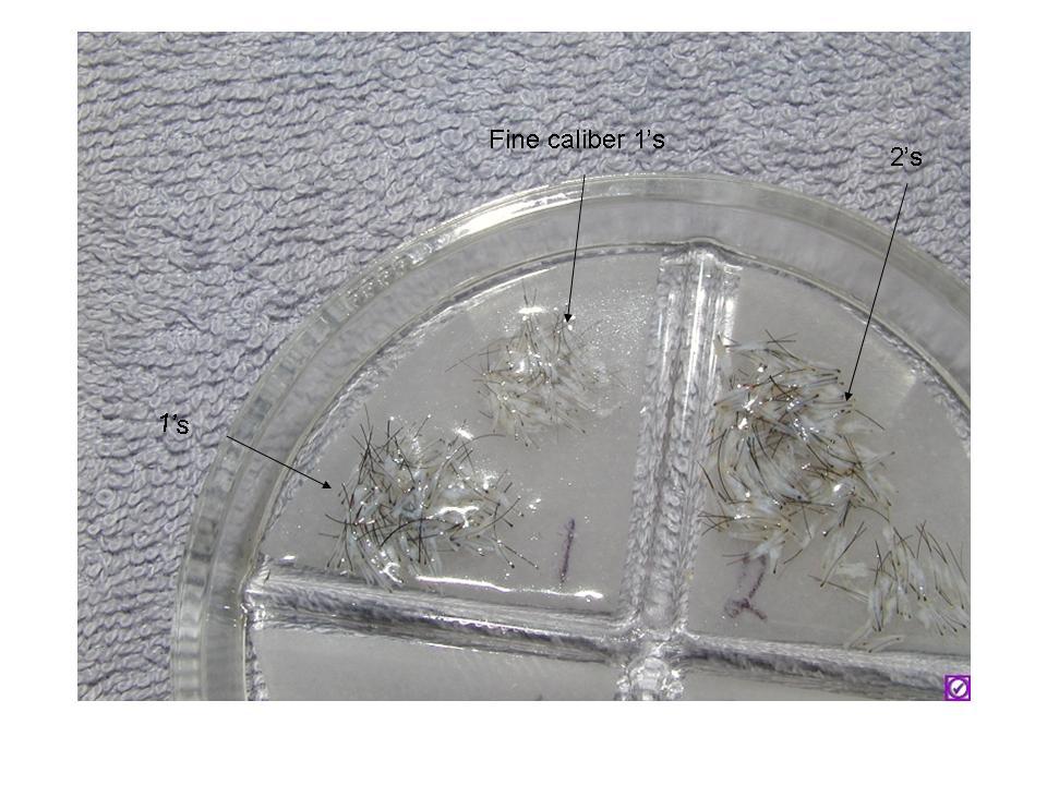 index.php/fa/3455/0/