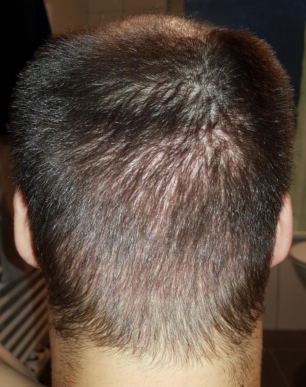 index.php/fa/34624/0/