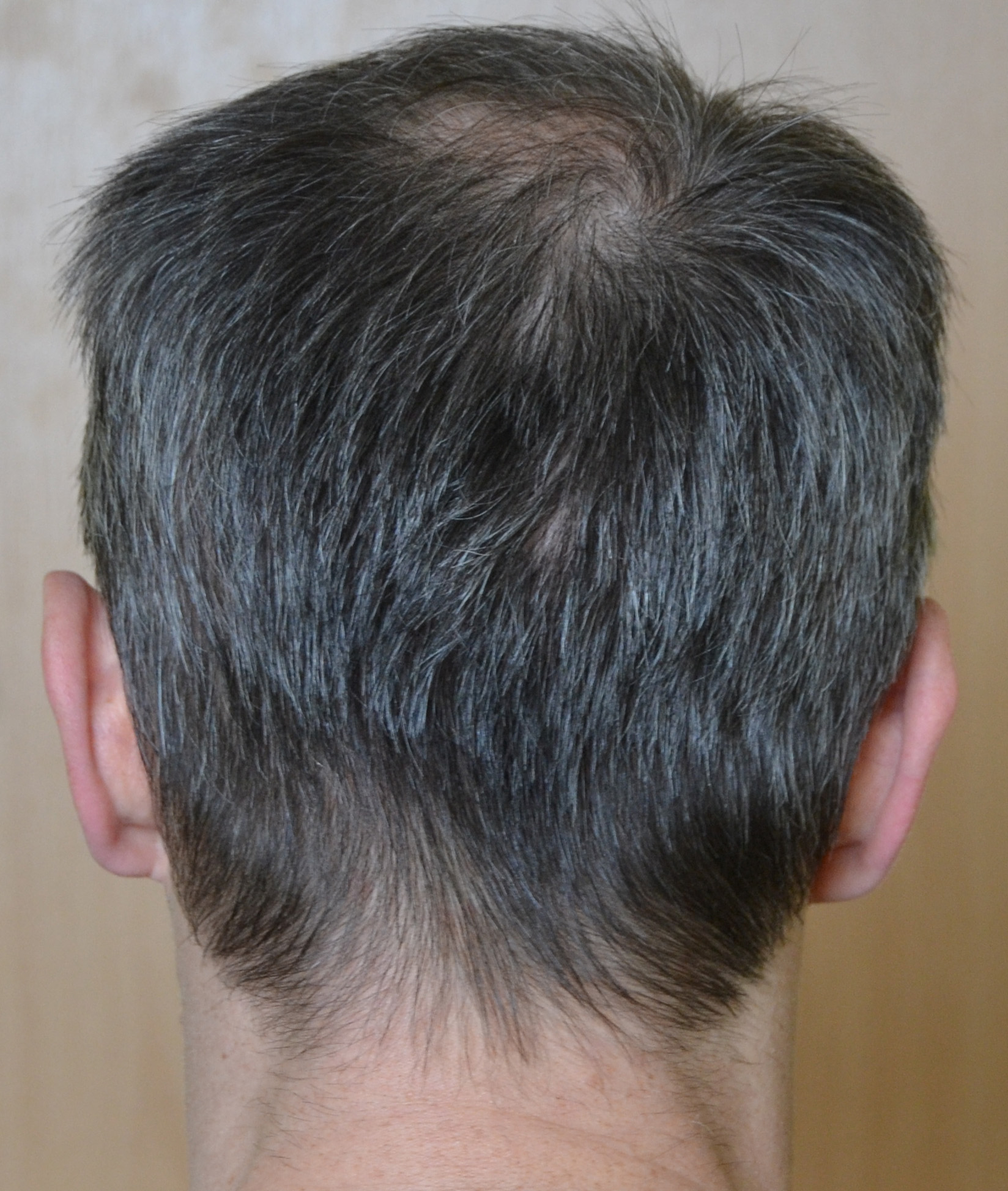 index.php/fa/34844/0/