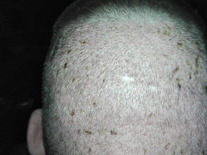 index.php/fa/34909/0/