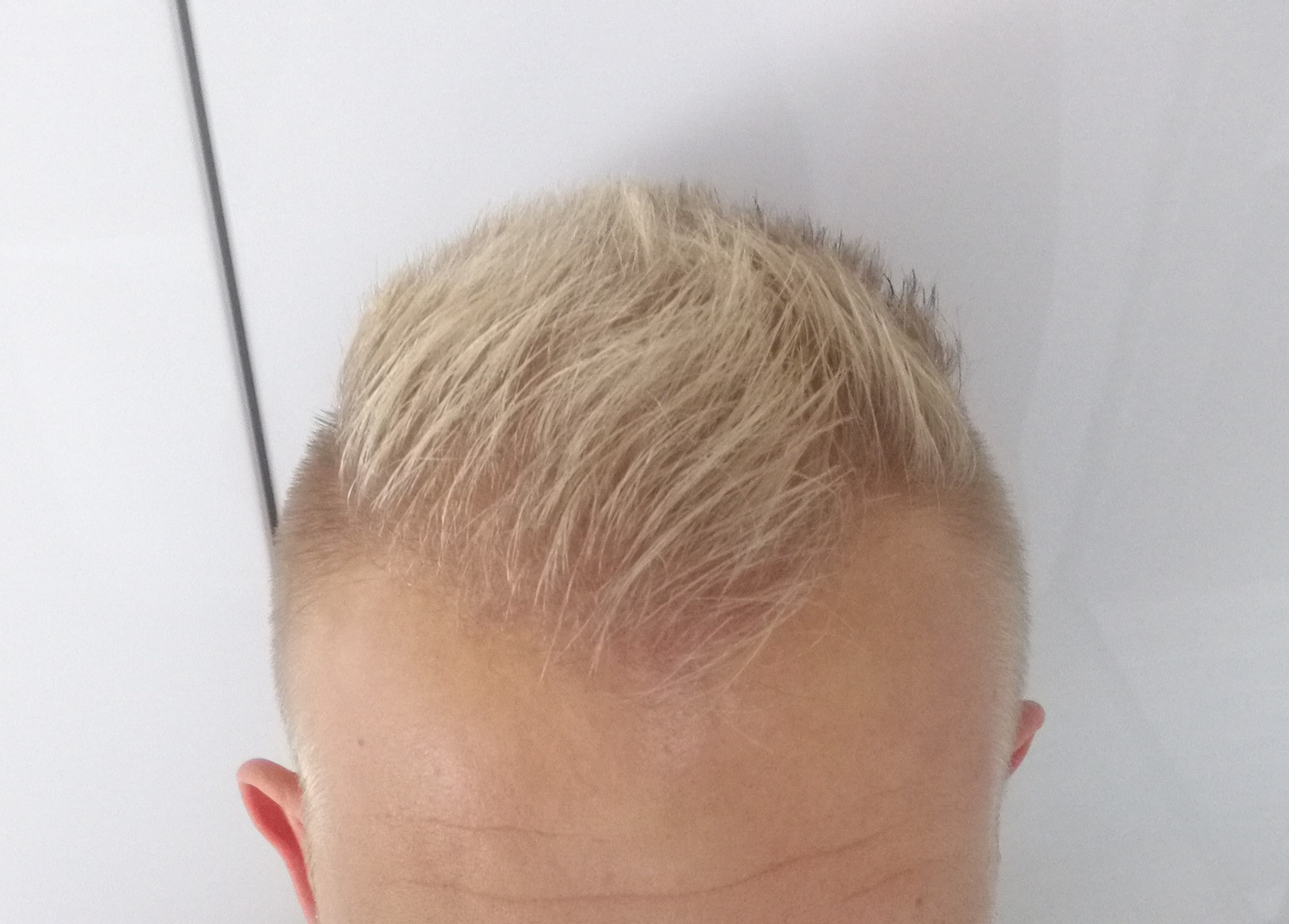 index.php/fa/35010/0/