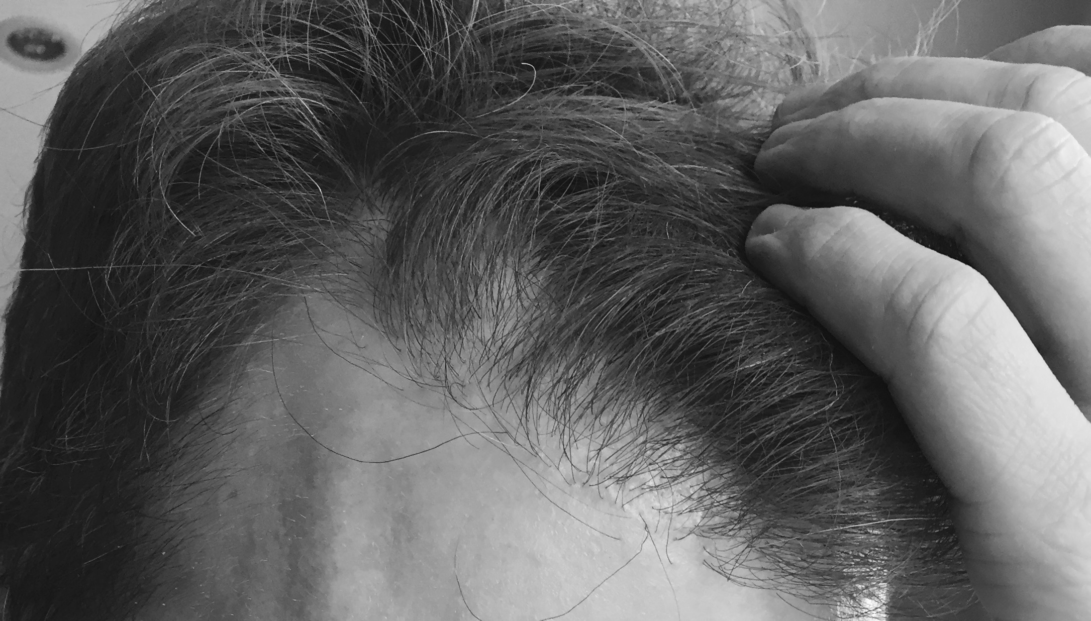 index.php/fa/35124/0/