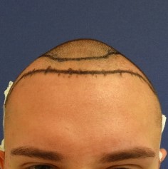 index.php/fa/35173/0/