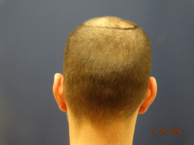 index.php/fa/35241/0/