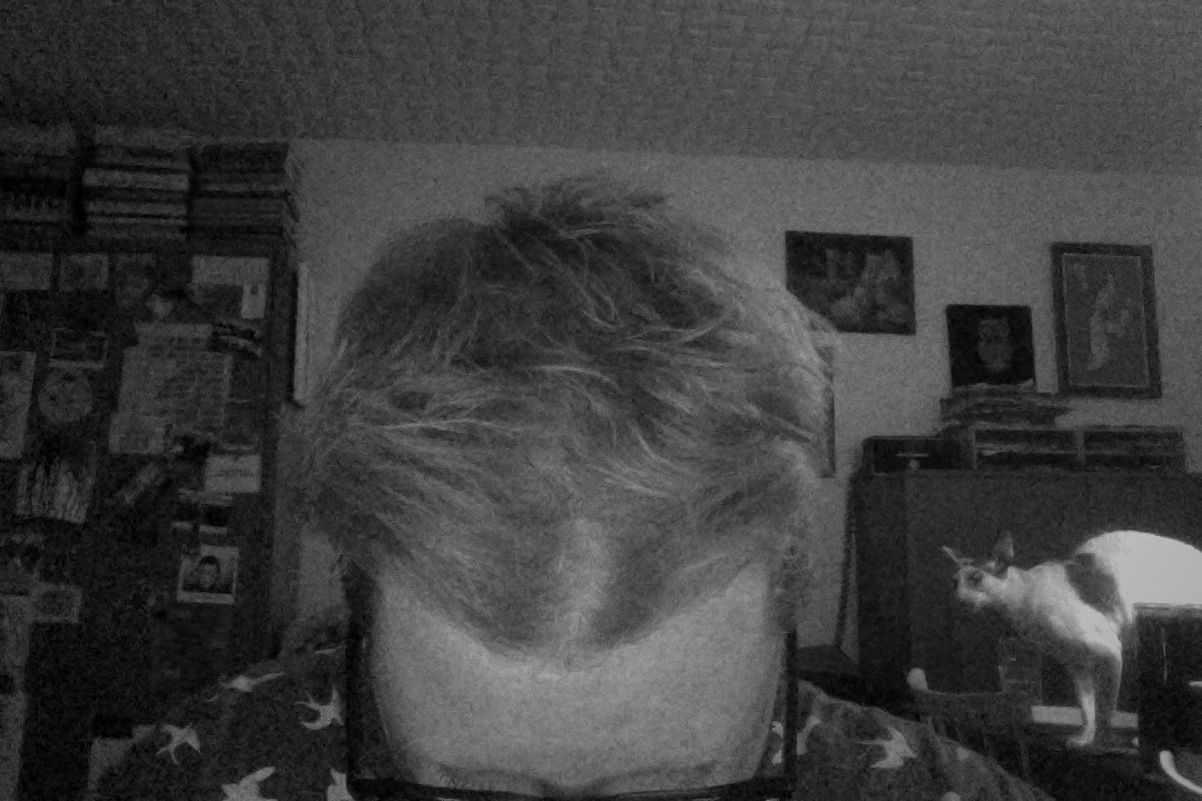 index.php/fa/35295/0/