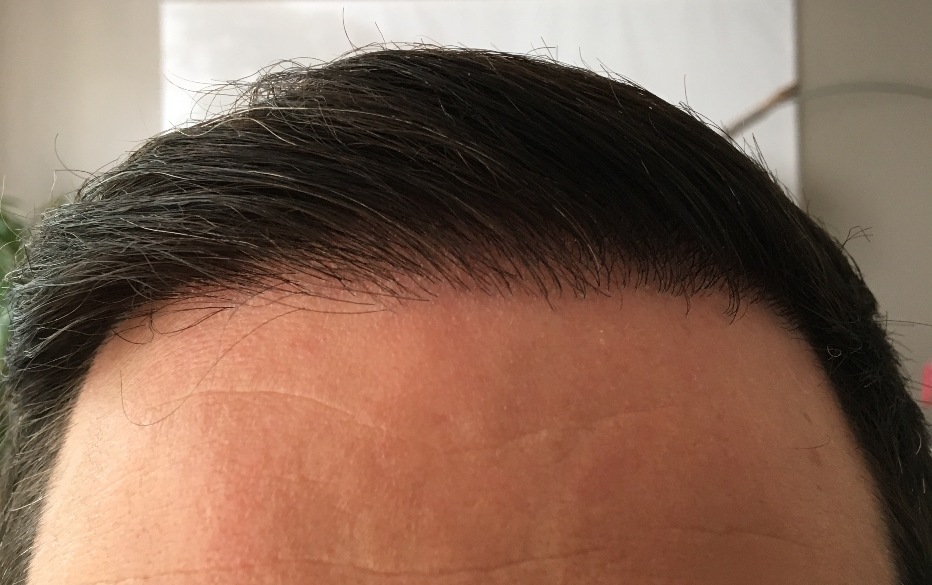 index.php/fa/35453/0/