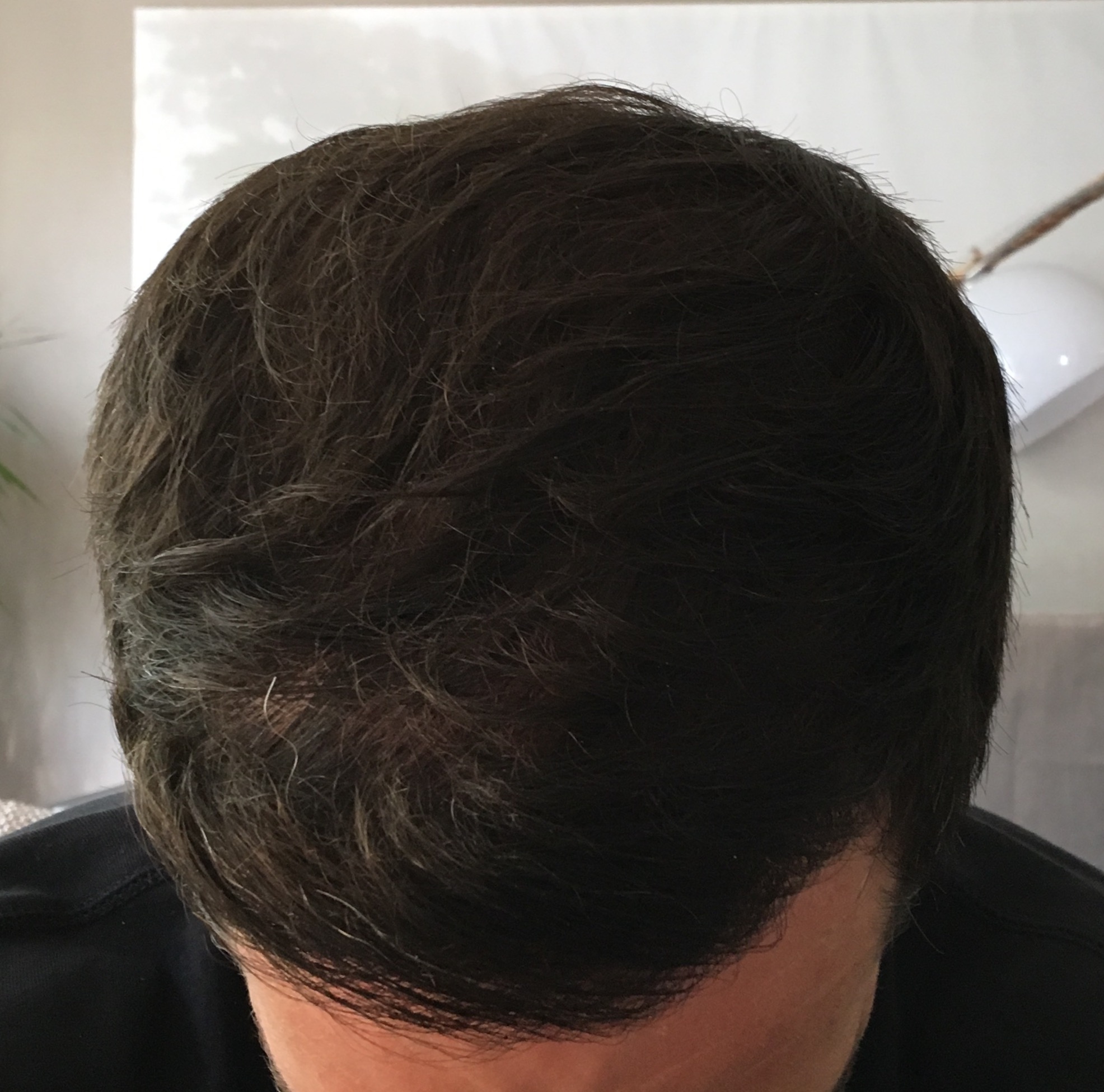 index.php/fa/35454/0/