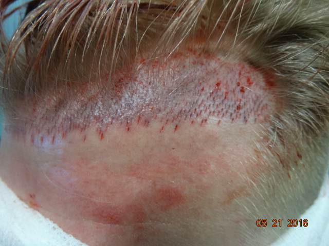 index.php/fa/35477/0/