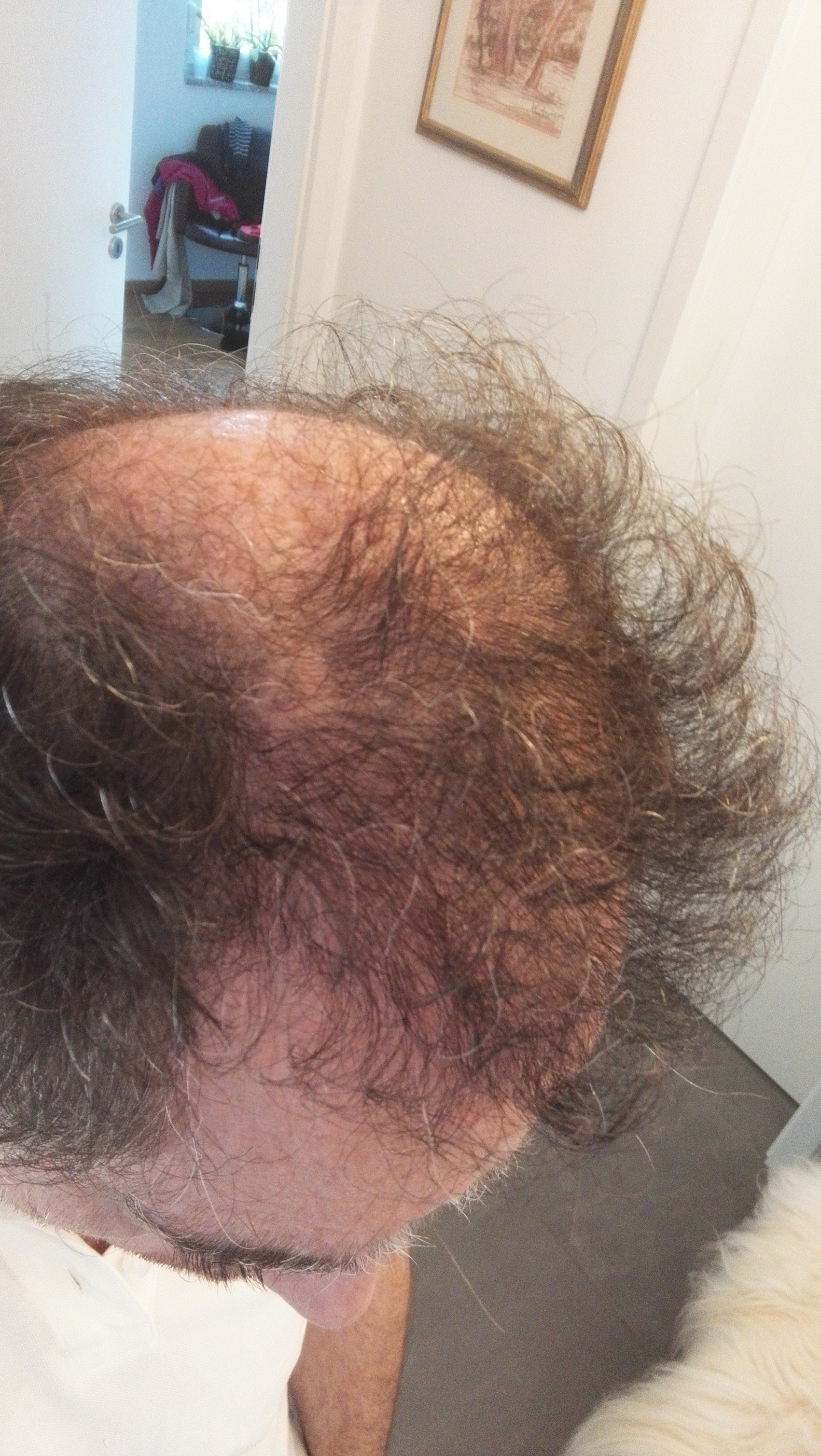 index.php/fa/35523/0/