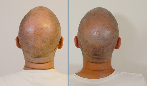 index.php/fa/35732/0/