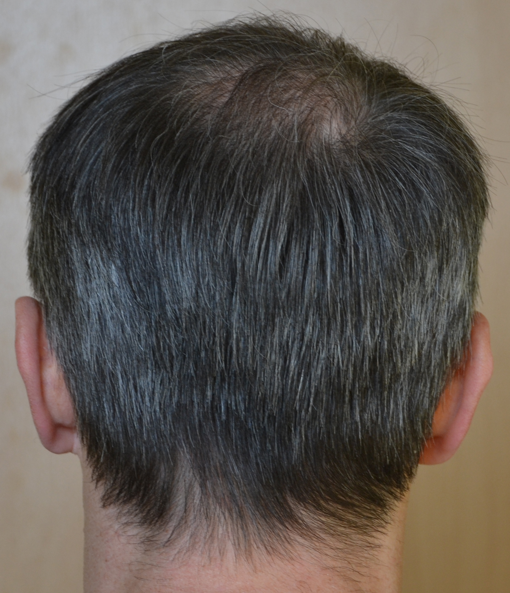 index.php/fa/35744/0/