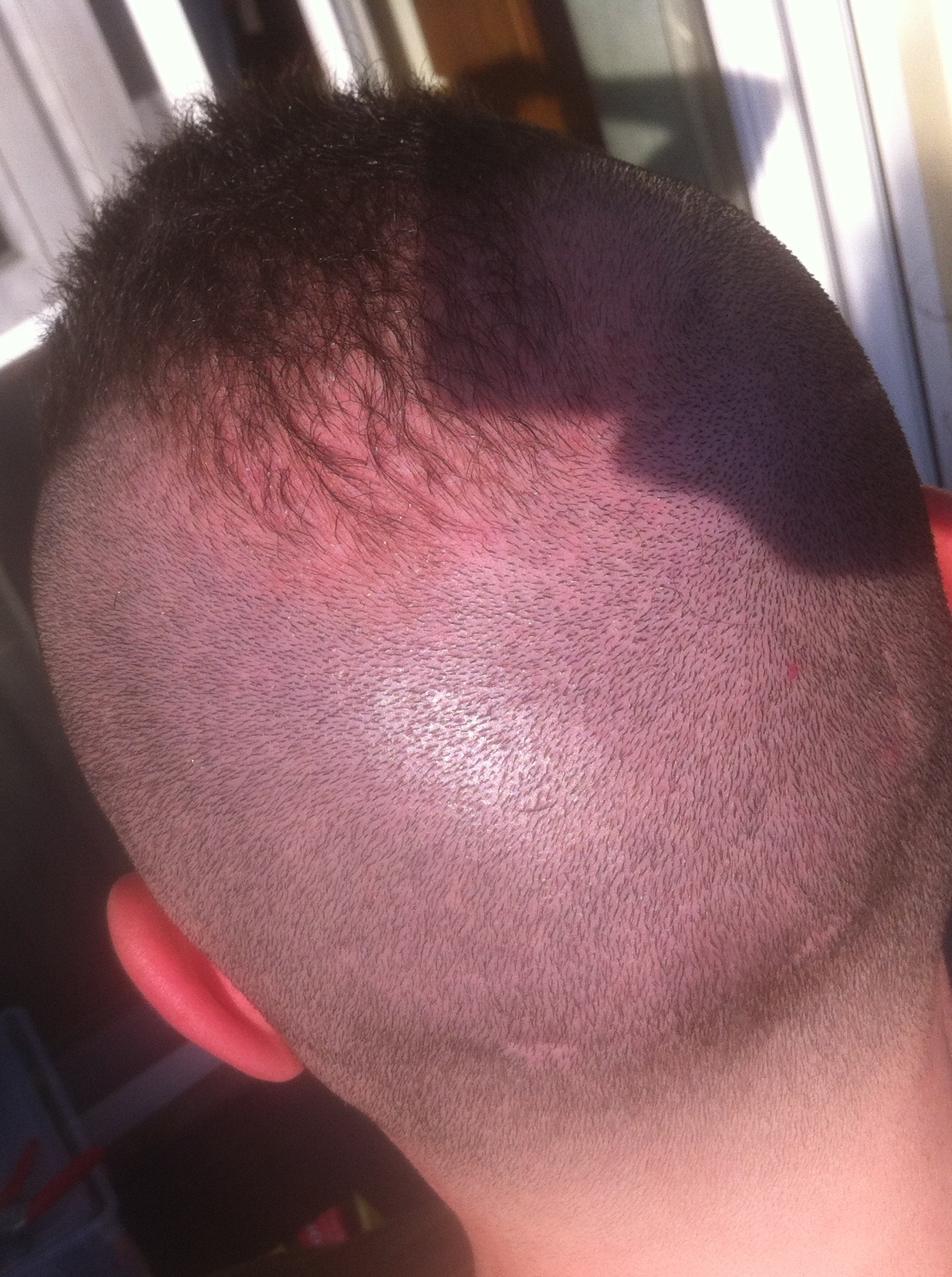 index.php/fa/36078/0/