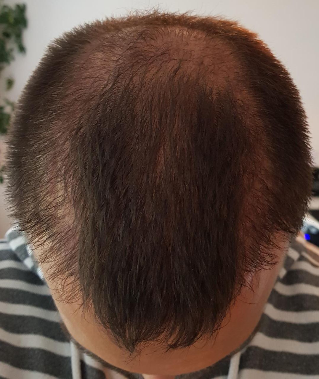 index.php/fa/36081/0/