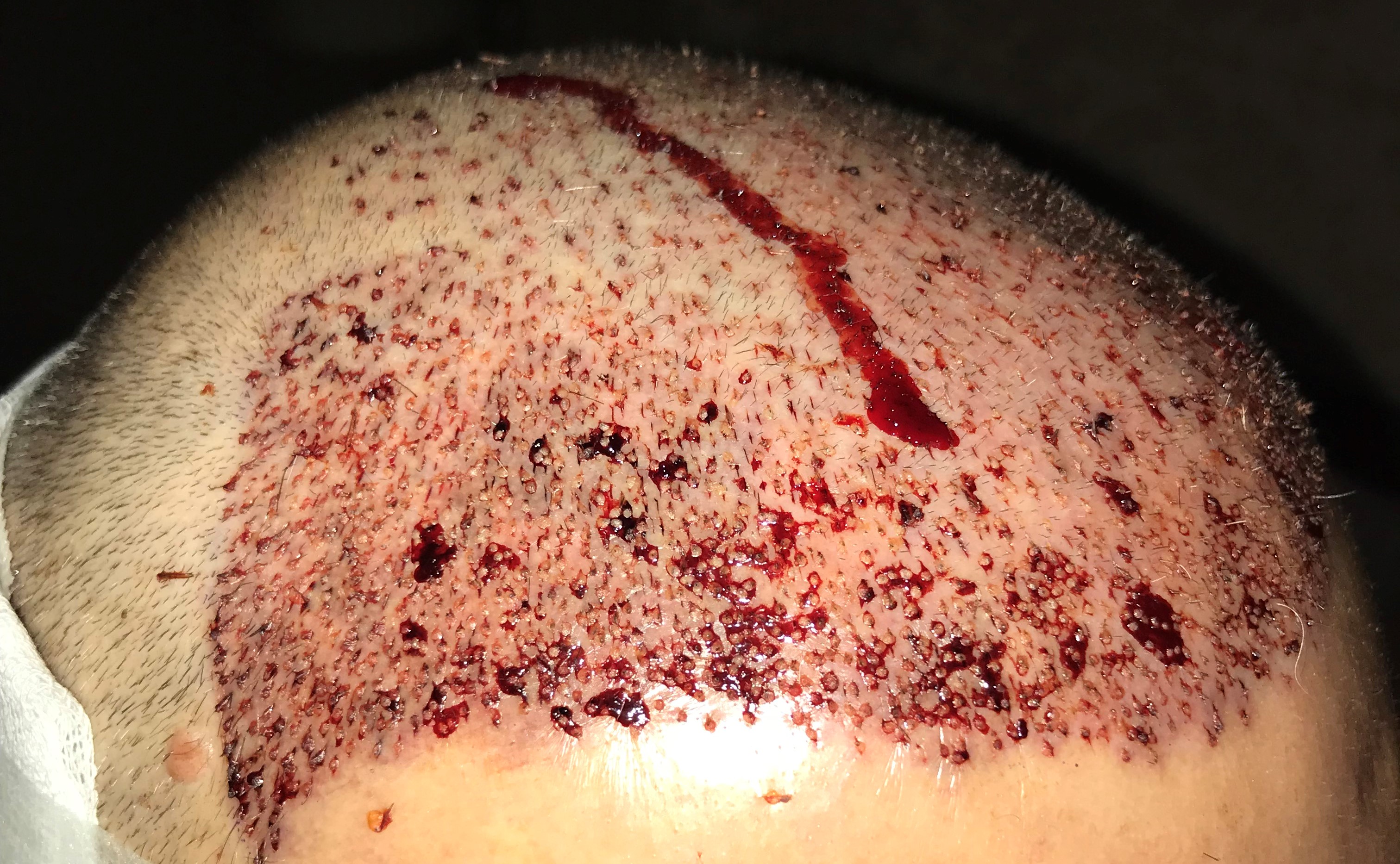 index.php/fa/36084/0/