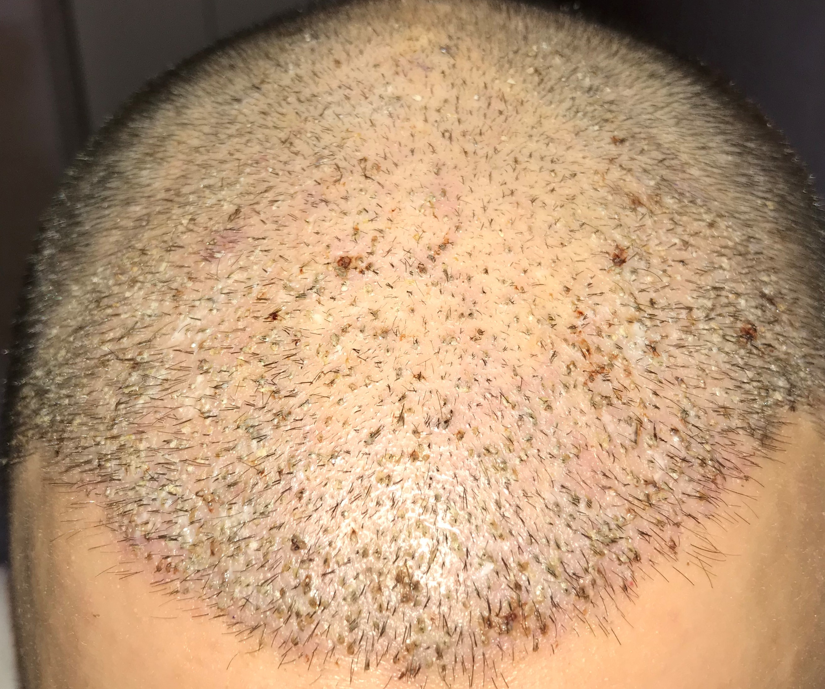 index.php/fa/36106/0/