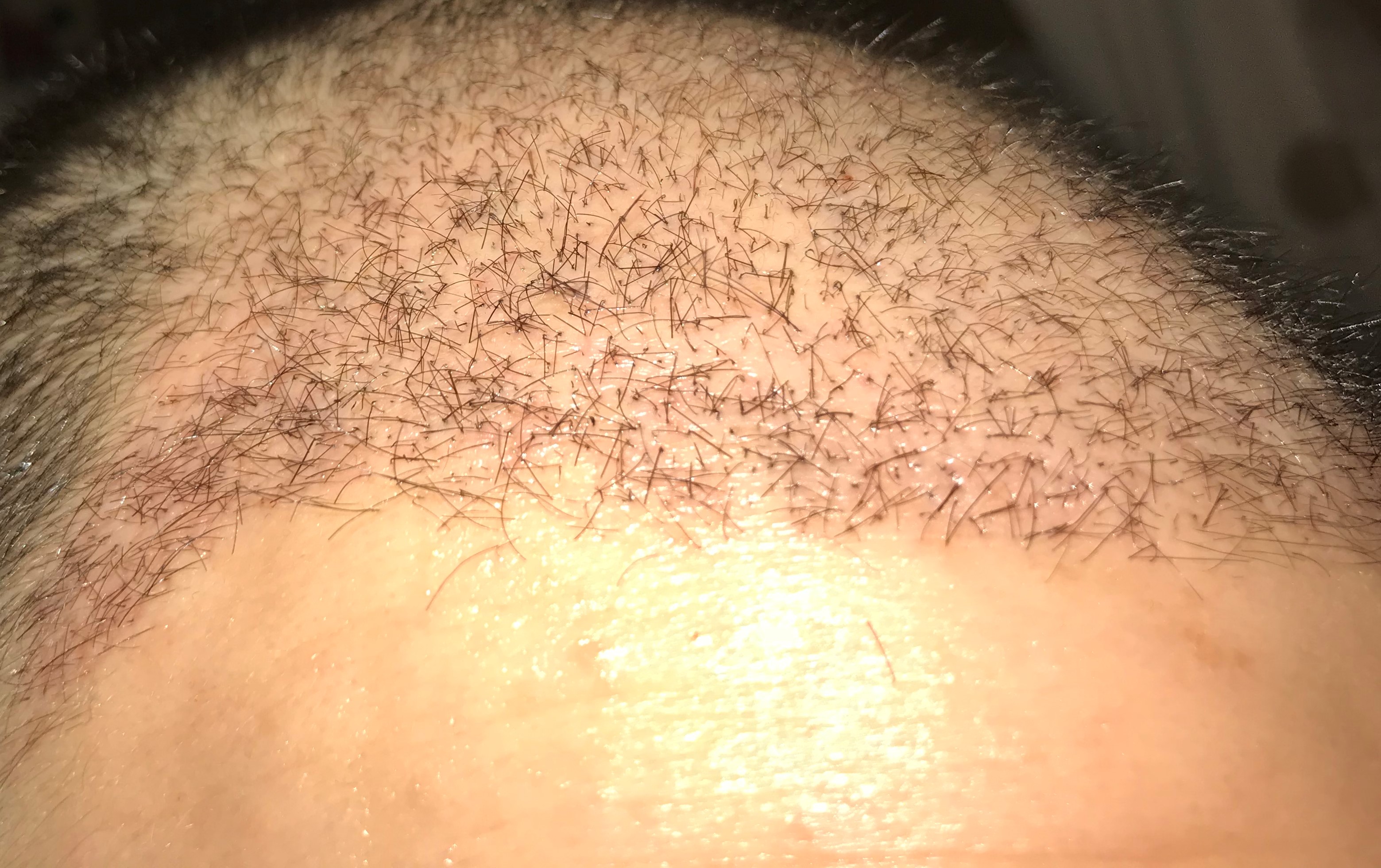 index.php/fa/36232/0/