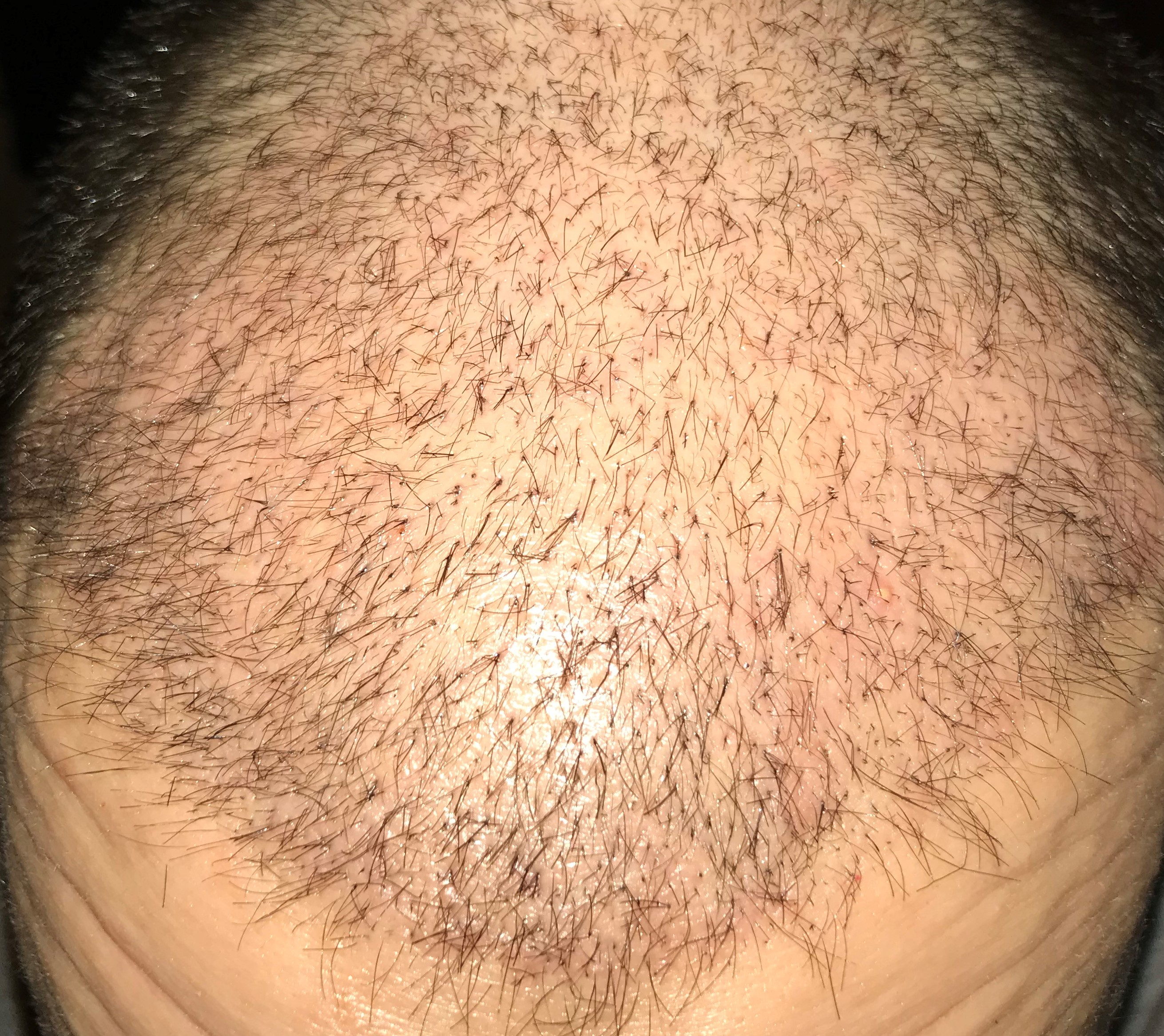 index.php/fa/36233/0/