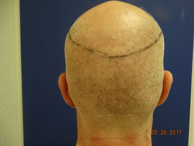 index.php/fa/36487/0/